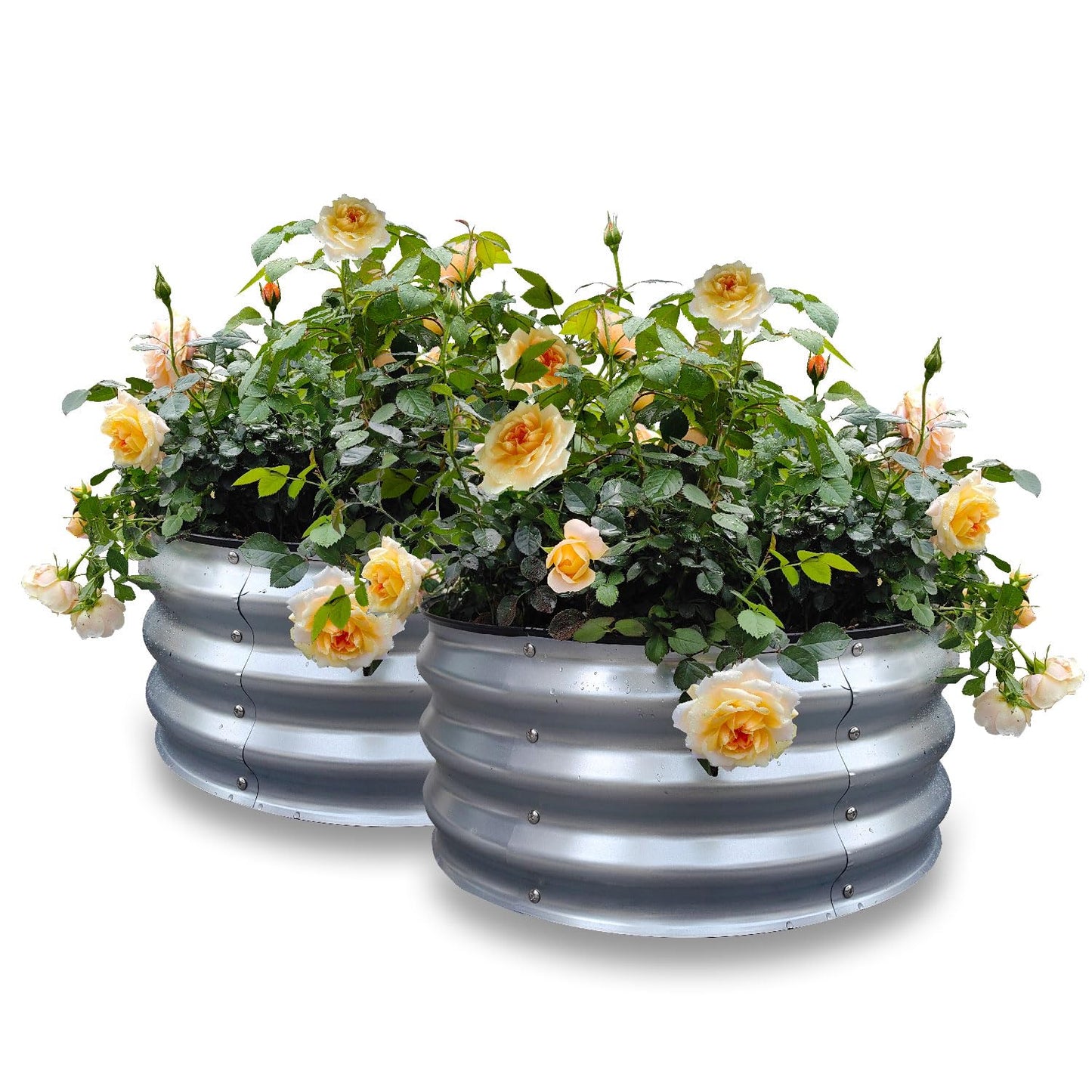Gardmax 2 Pack 2x2x1FT Galvanized Round Raised Garden Bed Kit, Metal Planter Boxes Outdoor with Easy Assembly, Large Garden Bed for Vegetables, Fruits, Flower, Herbs Silver