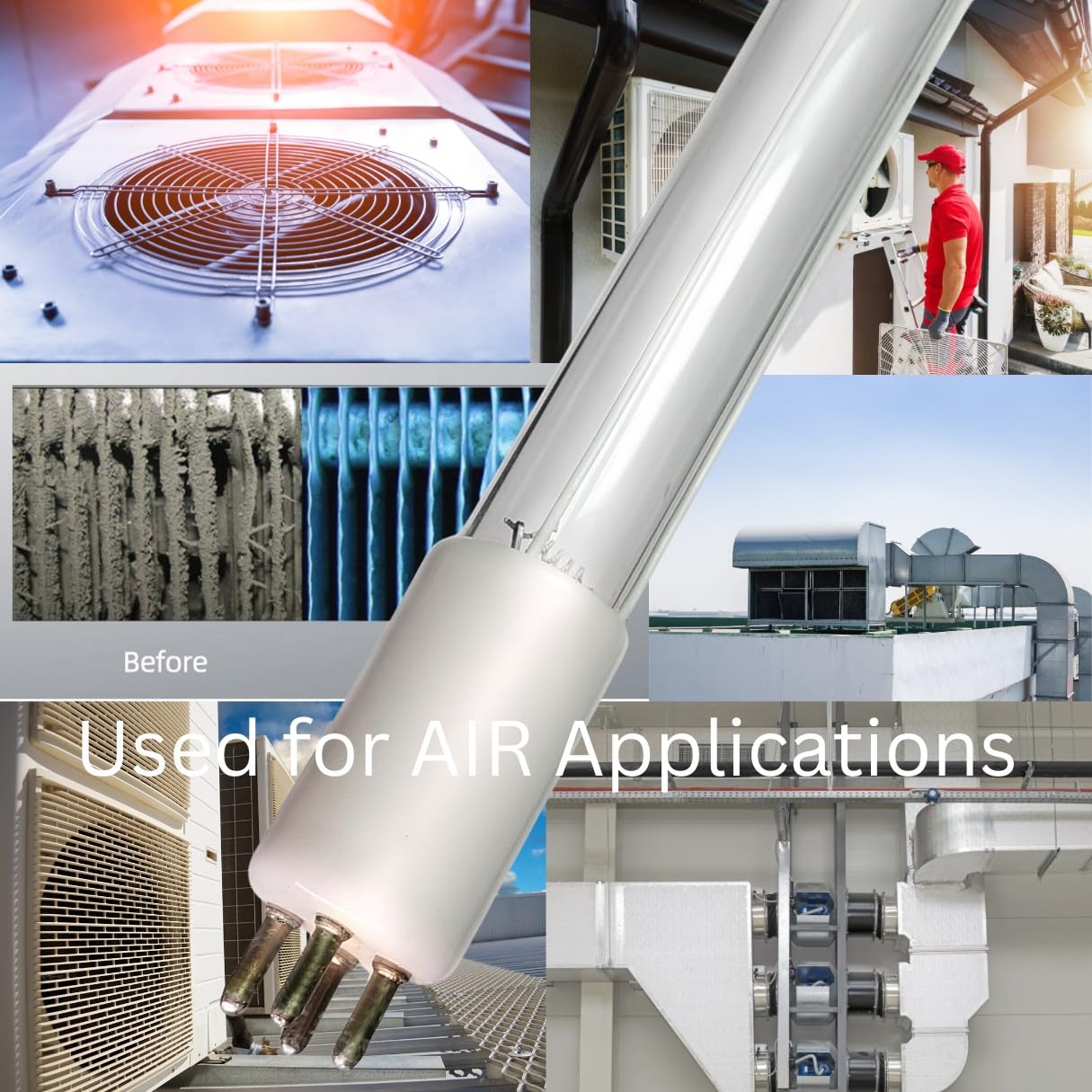 400152 Bulb for Dynamics