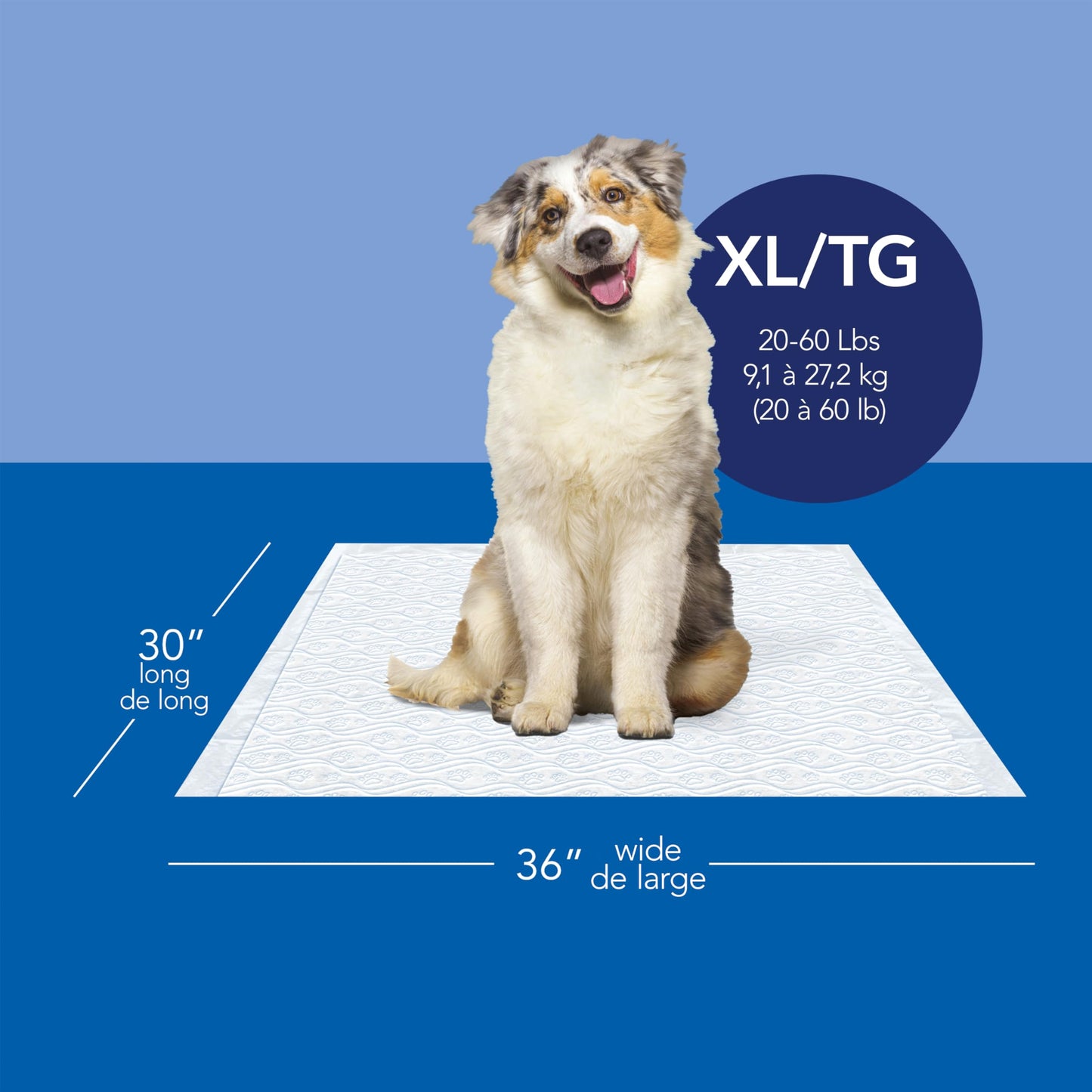 Scott Pet Guard Dog Pads - Dog Training Pee Pads for Puppies, Medium & Large Dogs - Up to 12 Hour Absorbent Odor Control - Easily Disposable Dog Pee Pads - Size XL - 30" x 36" - 40 Pack