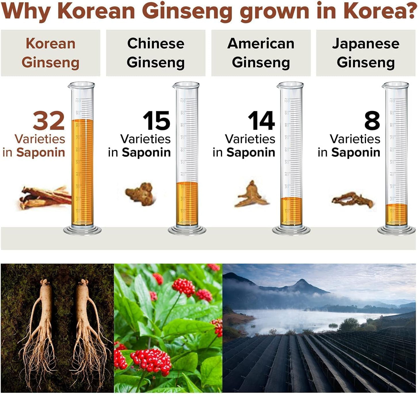 [BTGin] Genuine Korean Ginseng Capsules Enriched in Ginsenoside Rg3 Through Fermentative Enzyme Process - 100% Powder 18000mg