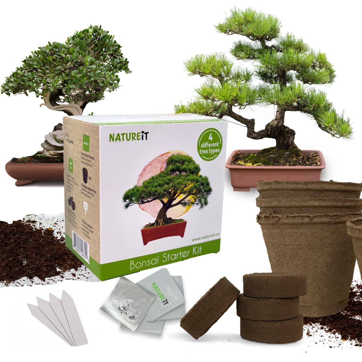Bonsai Tree Seed Starter Kit - All You Need to Grow 4 Bonsai Trees from Seeds. All-in-One Indoor/Outdoor DIY Beginner Grow kit for Men & Women. Best Gift Idea for Mom and Dad (Starter Kit)