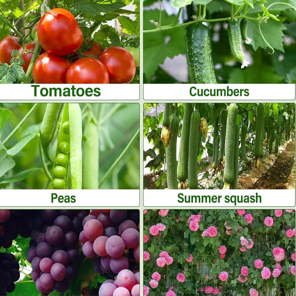 160 * 120cm Garden Trellis Cucumber Plant Trellis for Raised Bed with Netting Gloves Garden Tools for Vegetables for Plant Support Peas Fruit Flower Grape(Green)