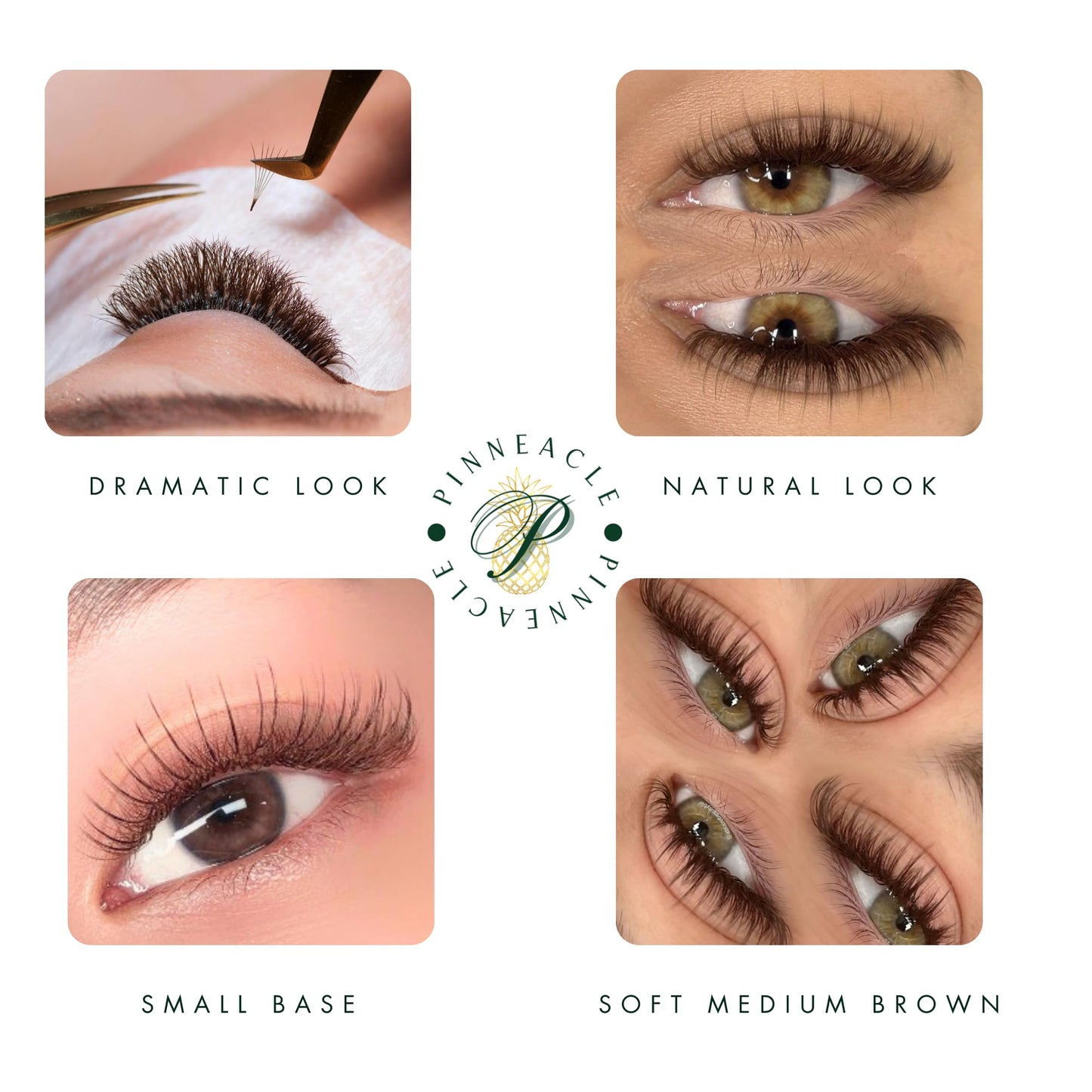 1200 Fans - 6D Premade Volume Fans - Mix 8 sizes in 1 From 9-16mm - Pinneacle Premade Volume Fans For Professional Eyelash Extension - Lash Extension Accessories, lash tools (Brown - CC)