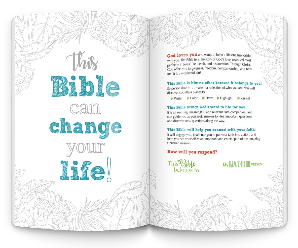 The Catholic Youth Bible: New American Bible