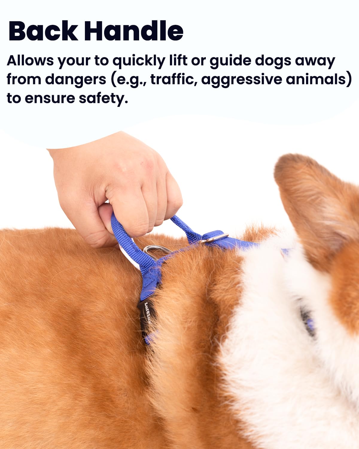 LufeLux Non-Restrictive Dog Harness, Easy Walk Freedom No Pull Harness, Keep Balance, Neck-Buckle, Six Points Adjustment, 2 Leash Clips for Back and Front Clip (Black/Grey, X-Large)
