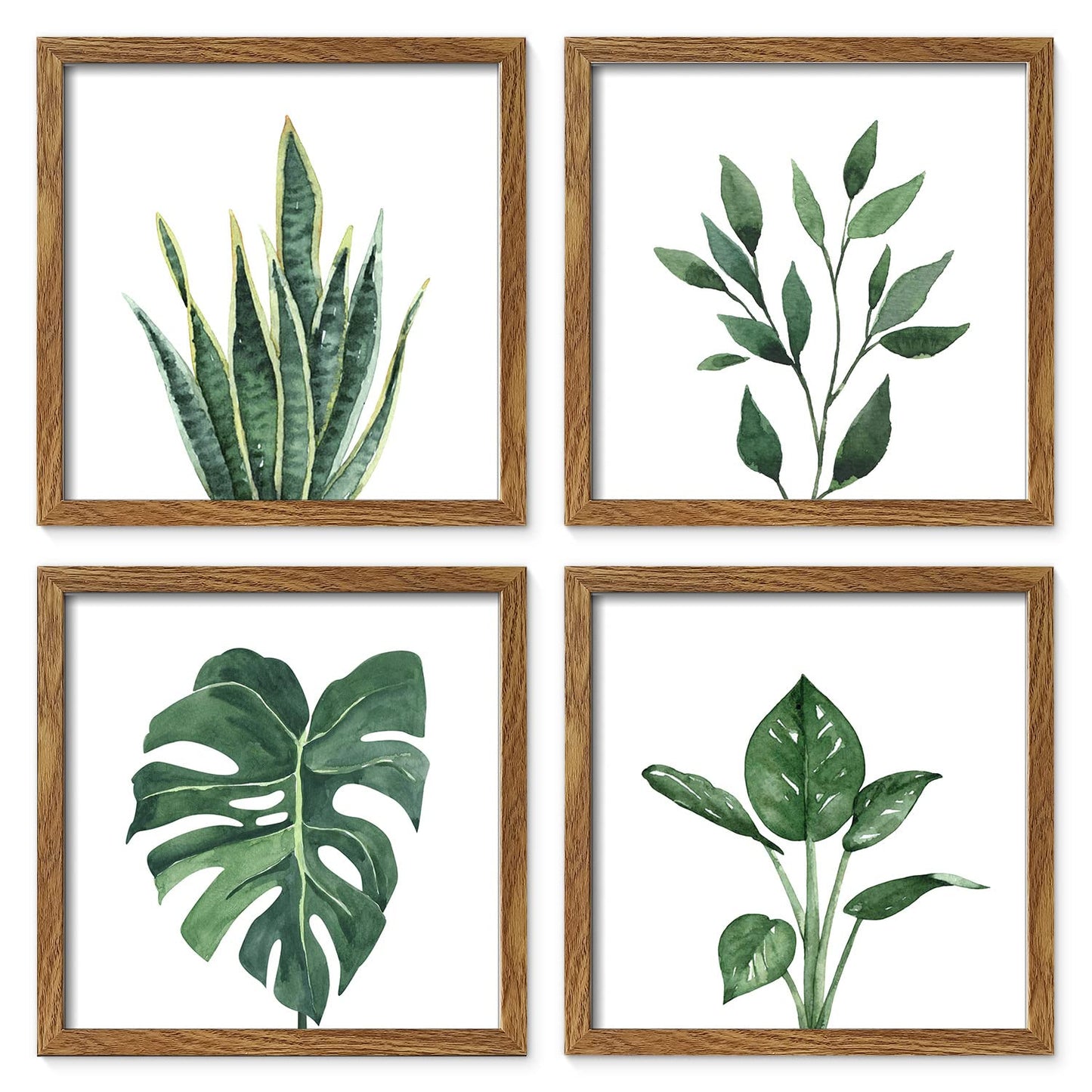 ArtbyHannah Framed Botanical Bathroom Wall Art Decor, 10x10 Inch 4 Pack Acrylic Sage Green Prints Set, for Spa & Farmhouse Decor for Bath, Restroom, Bedroom, Office Decoration (Walnut)