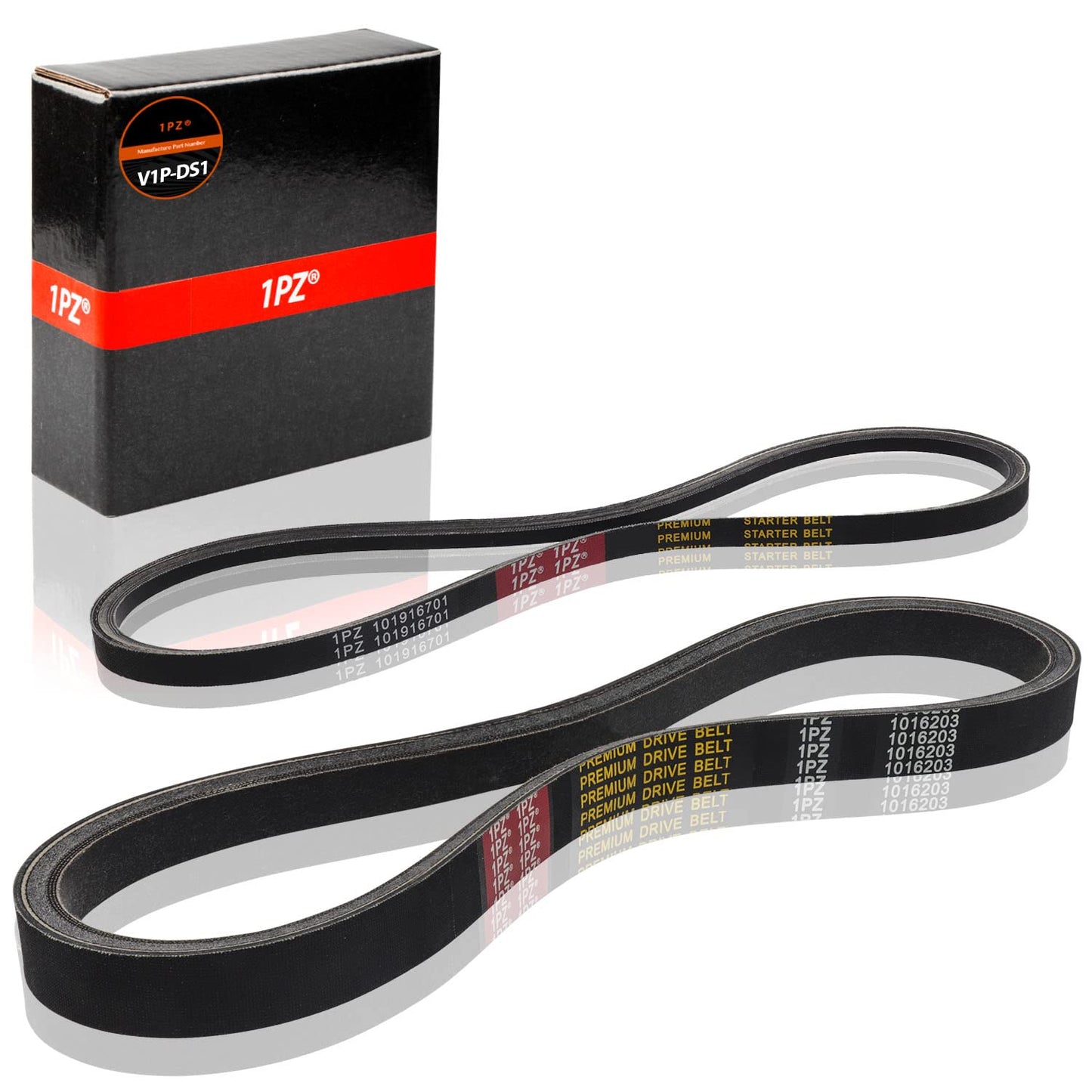 1PZ V1P-DS1 Clutch Starter Generator Belt & Drive Belt kit Replacement for Club Car DS 1997-Up & Precedent 2004-Up Golf Cart 1016203 101916701