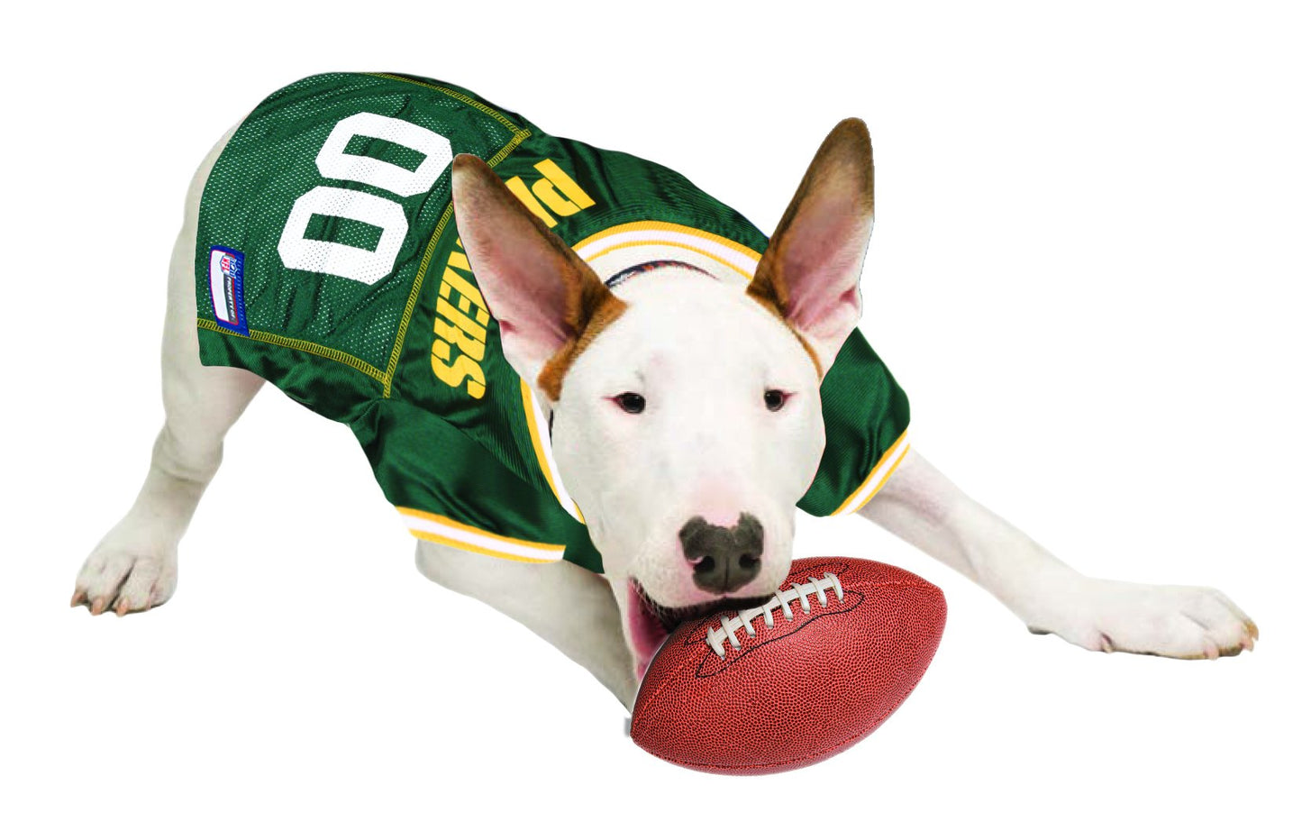 NFL Green Bay Packers Dog Jersey, X-Large