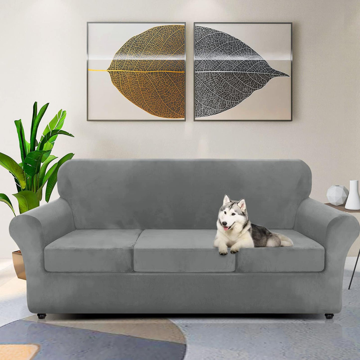 ZNSAYOTX Luxury Velvet Couch Cover 4 Piece Stretch Sofa Covers for 3 Cushion Couch Thick Soft Spandex Sofa Slipcover Living Room Anti Slip Dogs Pet Furnitre Protector (Grey, Sofa)
