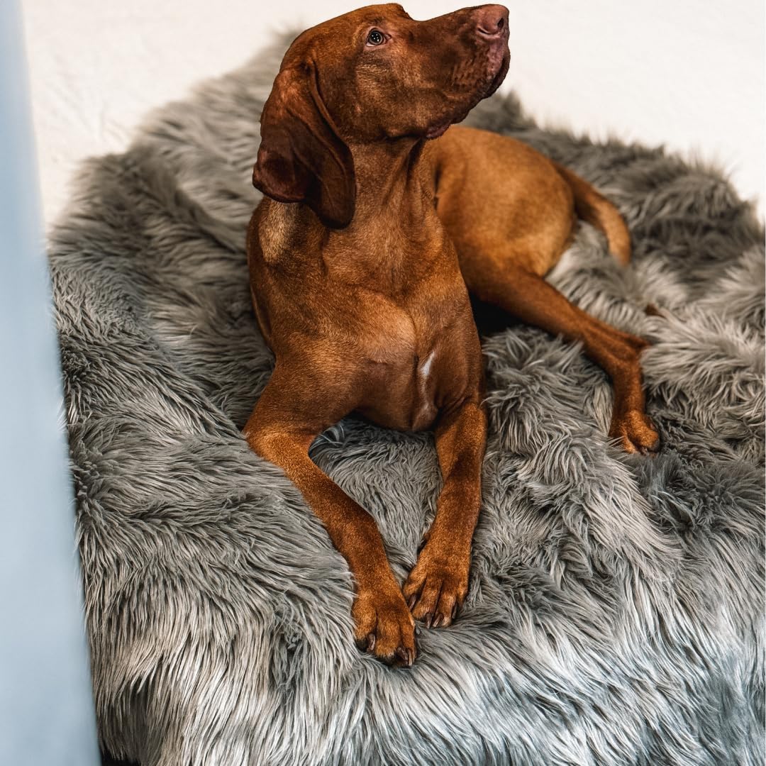 iHappyDog Waterproof Dog Blanket for Small, Medium & Large Dogs – Faux Fur Pet Throw for Couch, Sofa, Bed & Car – Soft, Washable, Stain-Resistant, Durable Cover – Grey 40" x 30"