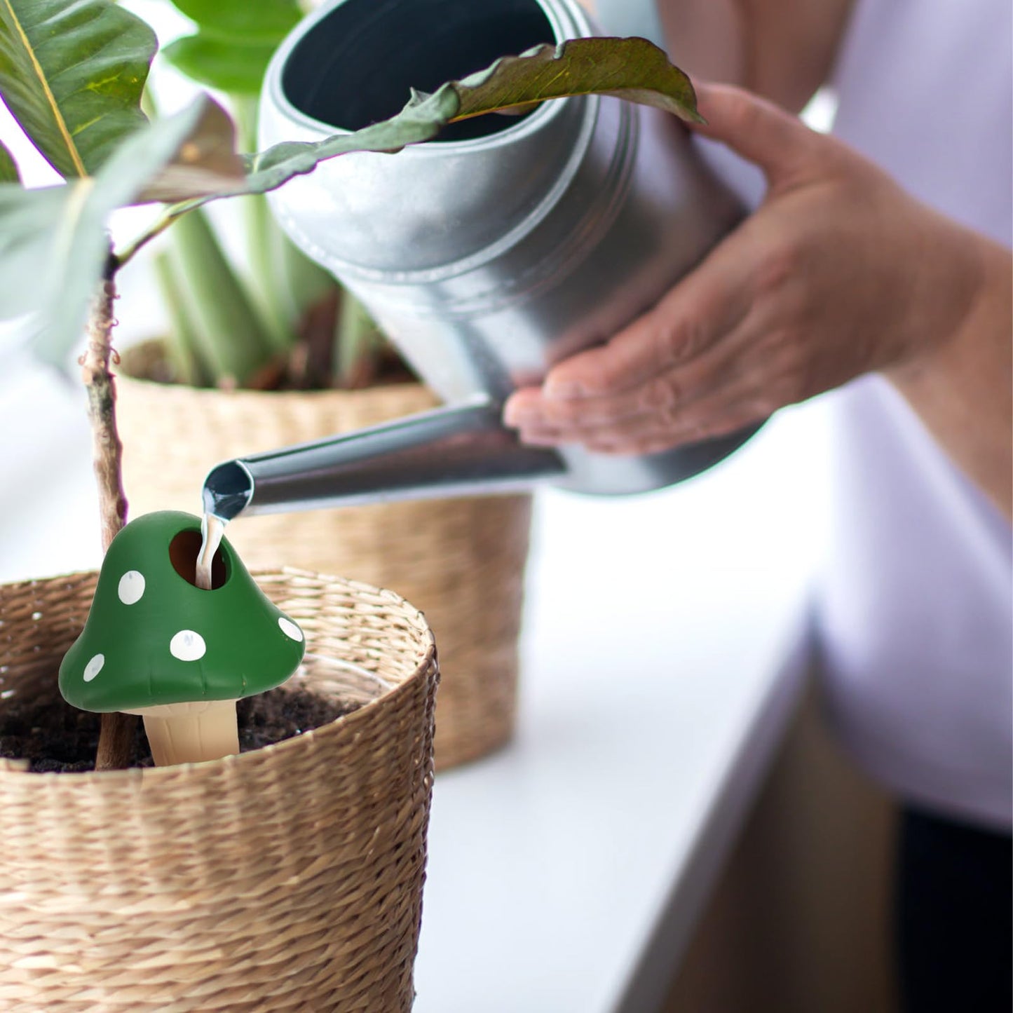 Peohud 8 Pack Self Watering Spikes Mushroom Shaped, Terracotta Plant Watering Globes, Cute Watering Device, Automatic Plant Watering Bulbs for Indoor Outdoor Potted Plants, Colorful Irrigation Spikes