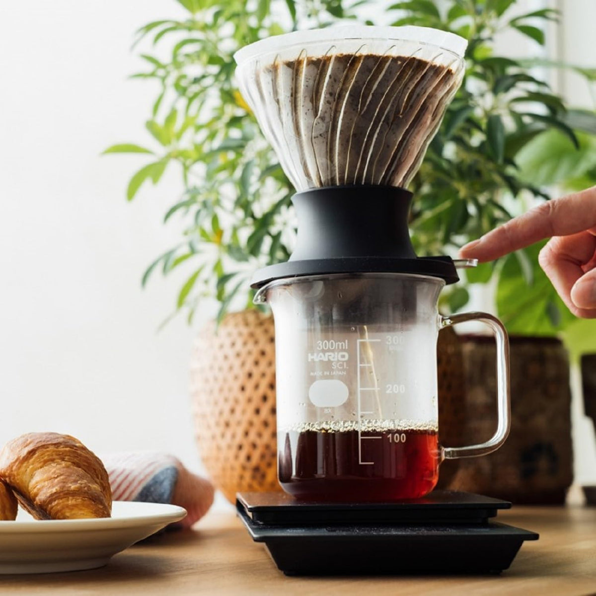 Hario V60 Immersion Dripper Set, 200ml