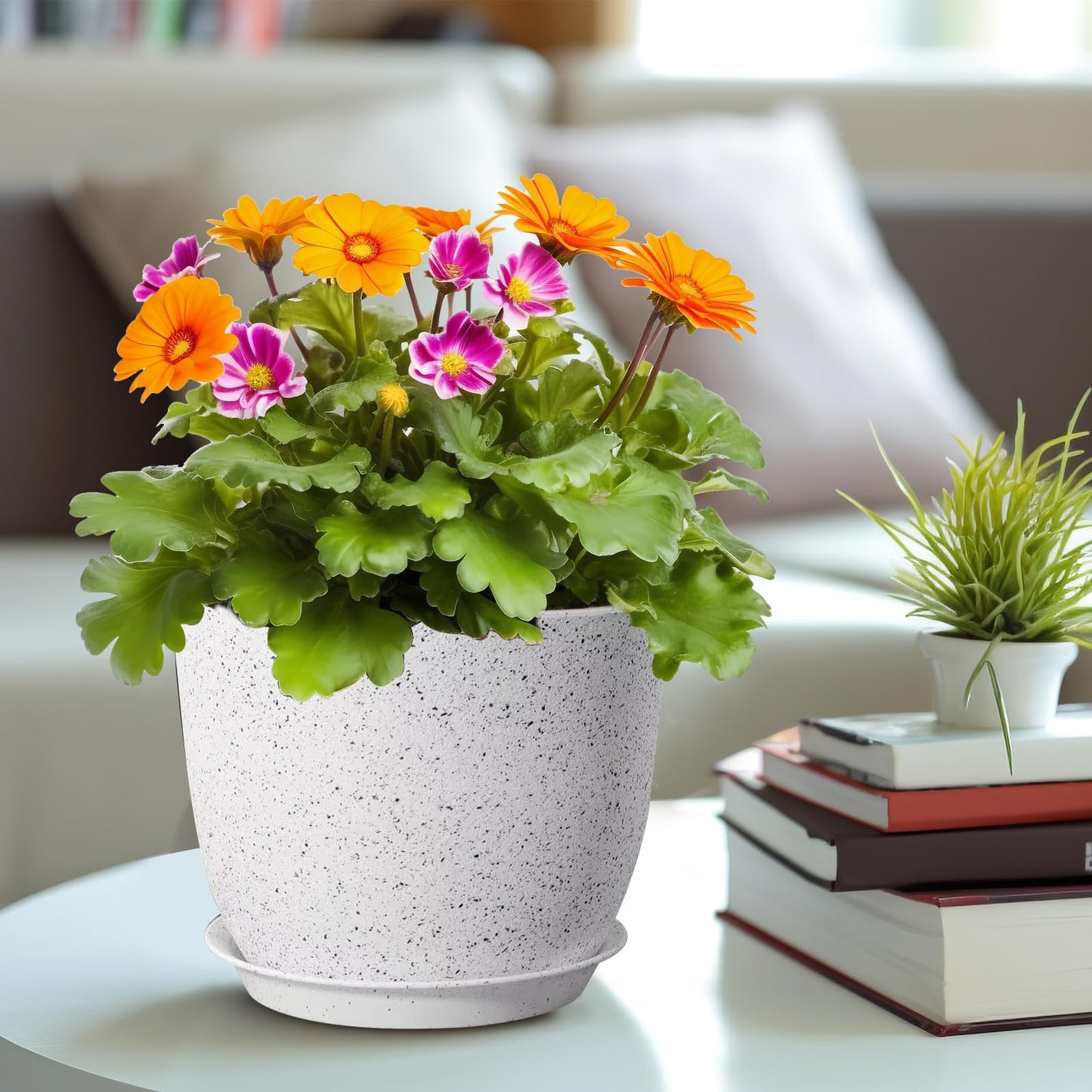 10/9/8 inch Plant Pots, 3 Pack Plastic Flower Pots Modern Flower Pots with Drainage Holes and Trays are for Indoor and Outdoor Plants, Herbs and Flowers,White Speckles (White)
