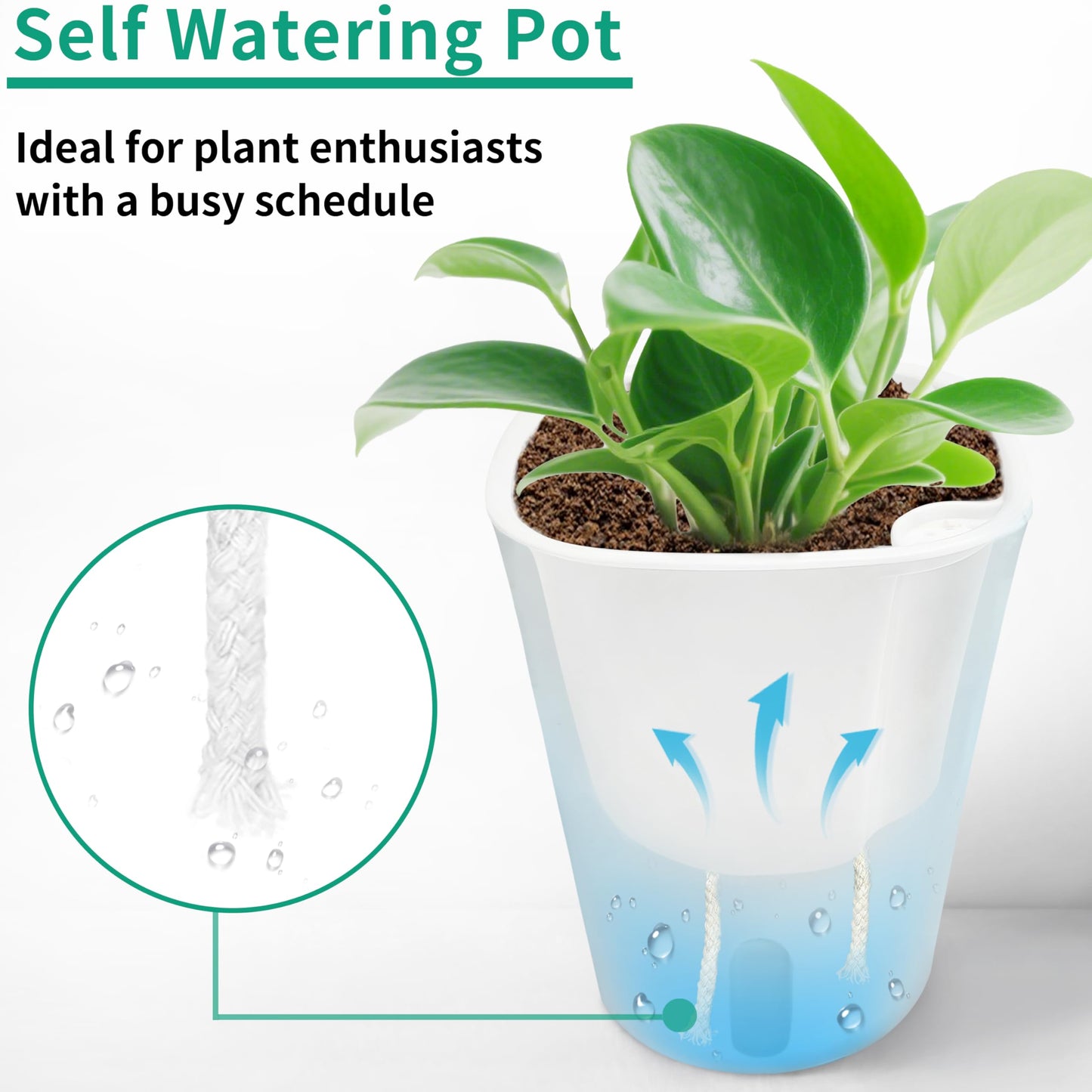 TCBWFY 5" Self Watering Pots for Indoor Plants,5 Sets Self Watering Planter Pots with Visual Water Level Window and Multiple Vents, Plant Pots for All House Plants,Flowers,Herbs,Succulent
