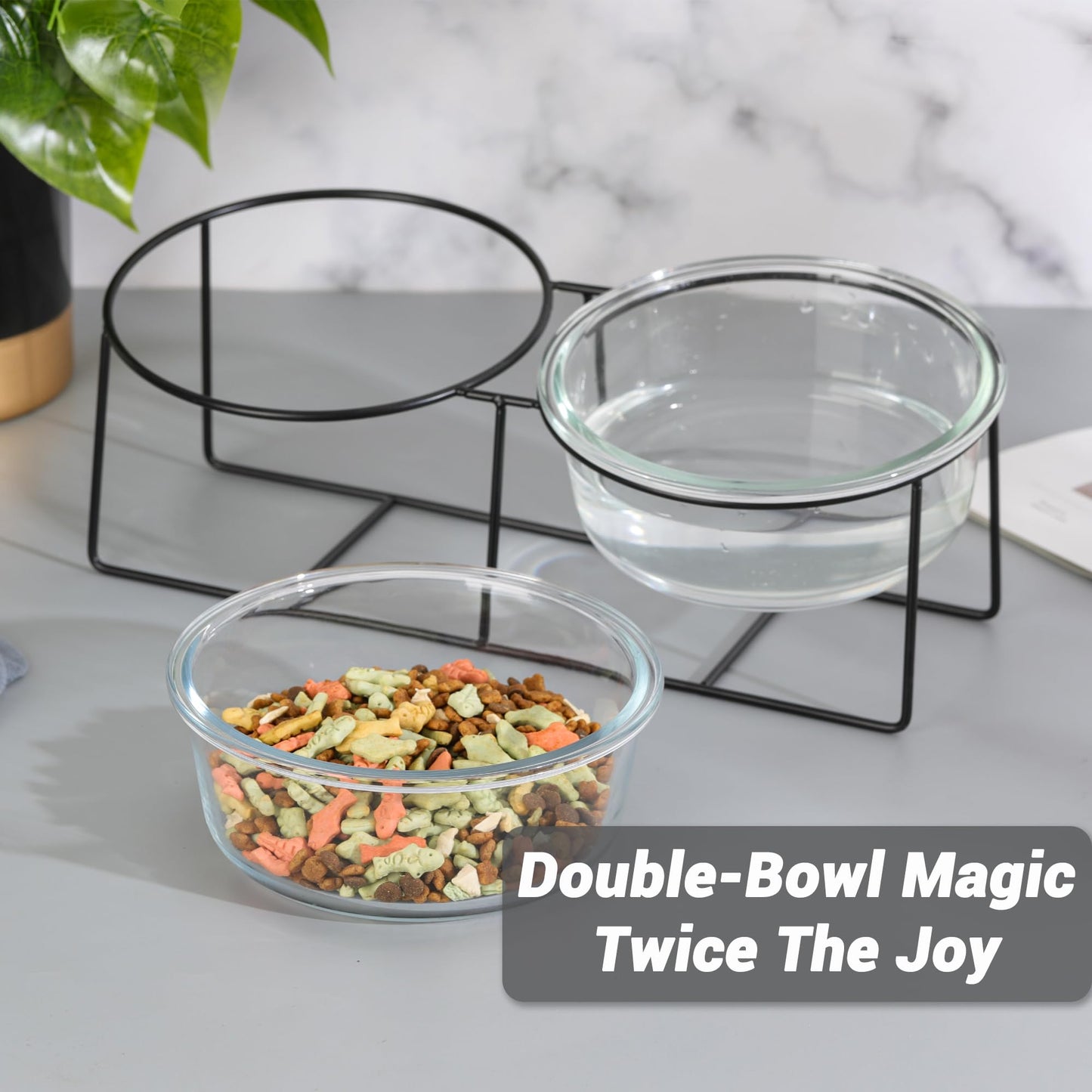 Glass Elevated Dog Bowl Set - Raised Food and Water Bowls with Metal Stand - Pet Dishes for Small and Medium Dogs - 2 Cups (27 fl oz) Each - Transparent