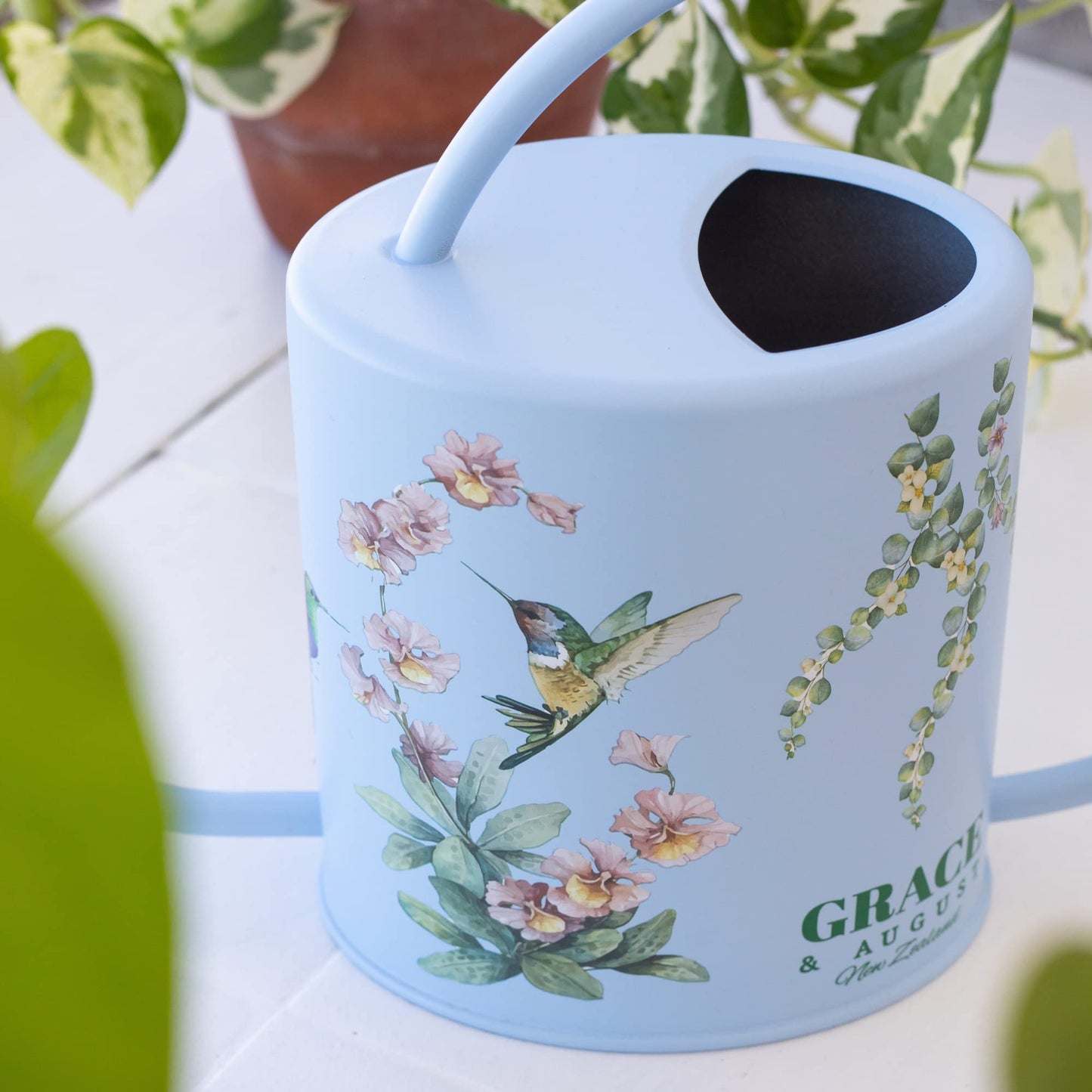 Watering Can for Indoor House Plants & Spray Water Mist Bottle - Cute Decorative Metal Gardening Small Water Can for Houseplants & Flowers with Long Spout - 1.5L 51floz 0.4 Gallon (Hummingbird Blue)