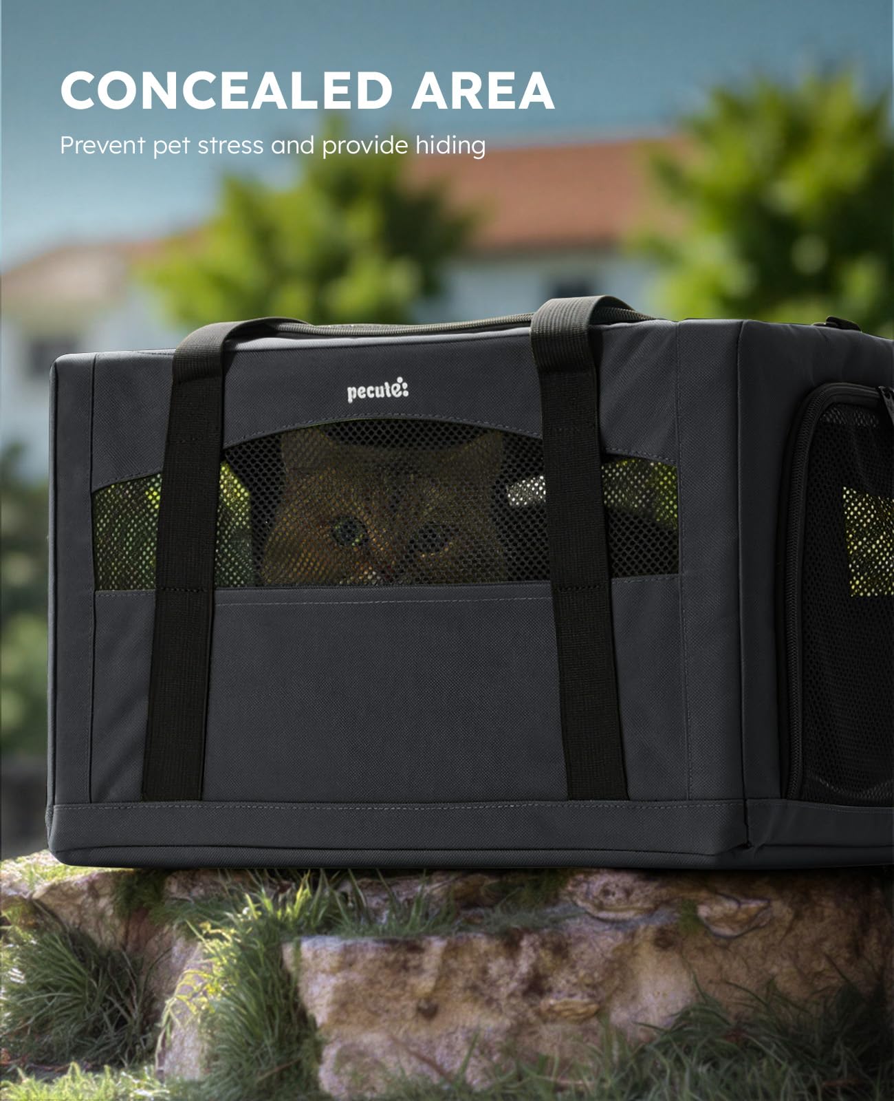 Pecute Cat Carrier Dog Carrier with Stable Structure,Breathable Mesh Fabric Pet Carrier for for Small Cats Dogs Puppies up to 7KG,Soft-Sided Dog Carrier Suitable for Both Long and Short Trips,Black,XL