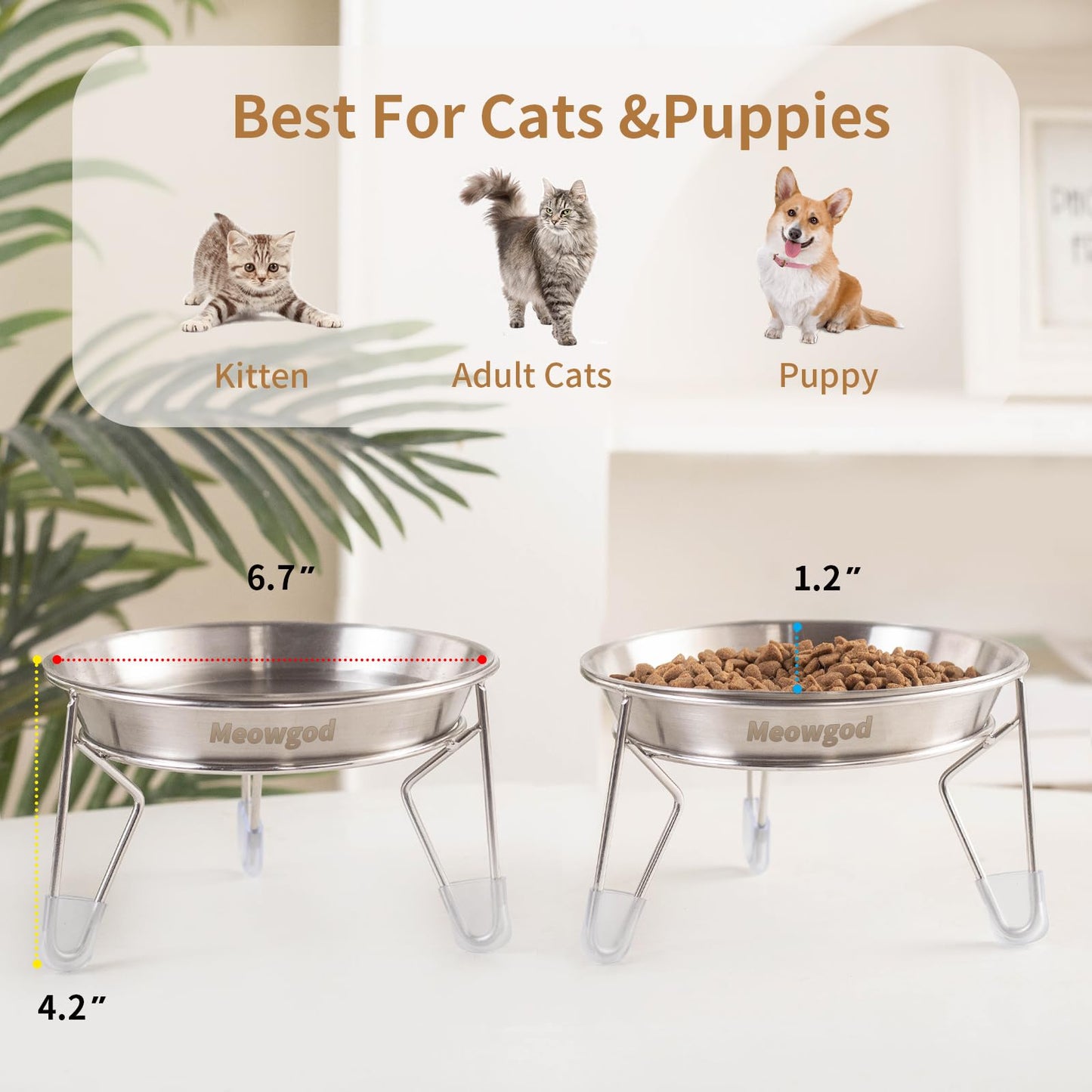 Elevated Cat Bowls,6.7" Extra Wide Raised Stainless Steel Cat Food Bowls with Anti-Slip Metal Stand Whisker Friendly Water Dishes for Indoor Cats and Small Dogs-2pack