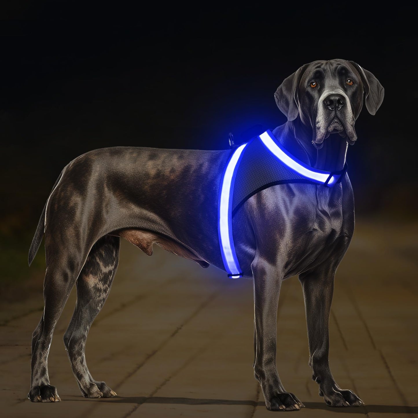 ChalkLit Light Up Dog Harness, No Pull Led Dog Harness Glow-in-The-Dark for Night Walking, USB Rechargeable Lighted Safety Vest for Medium Large Dogs, Adjustable Soft Mesh Fully Illuminated (Blue, XL)