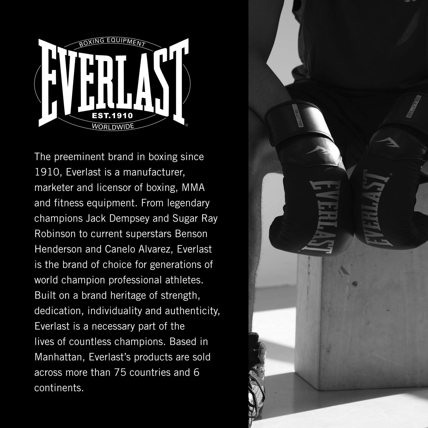 Everlast Pro Style Boxing Gloves – Premium Synthetic Leather, Breathable, Hook & Loop Closure, Odour-Fighting – Adult Size, Great for Boxing, Sparring, Heavy Bag Workouts, Mitt Work