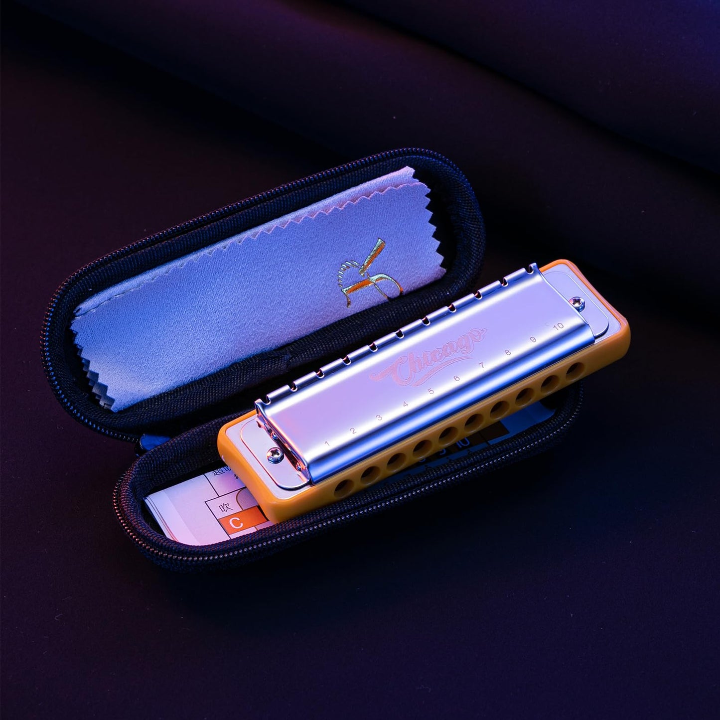 Harmonica JDR Blues key of G 10 Holes 20 Tones Harps Armonica for Adults Professional Beginners Mini Mouth Organ with Case Chicago (G)