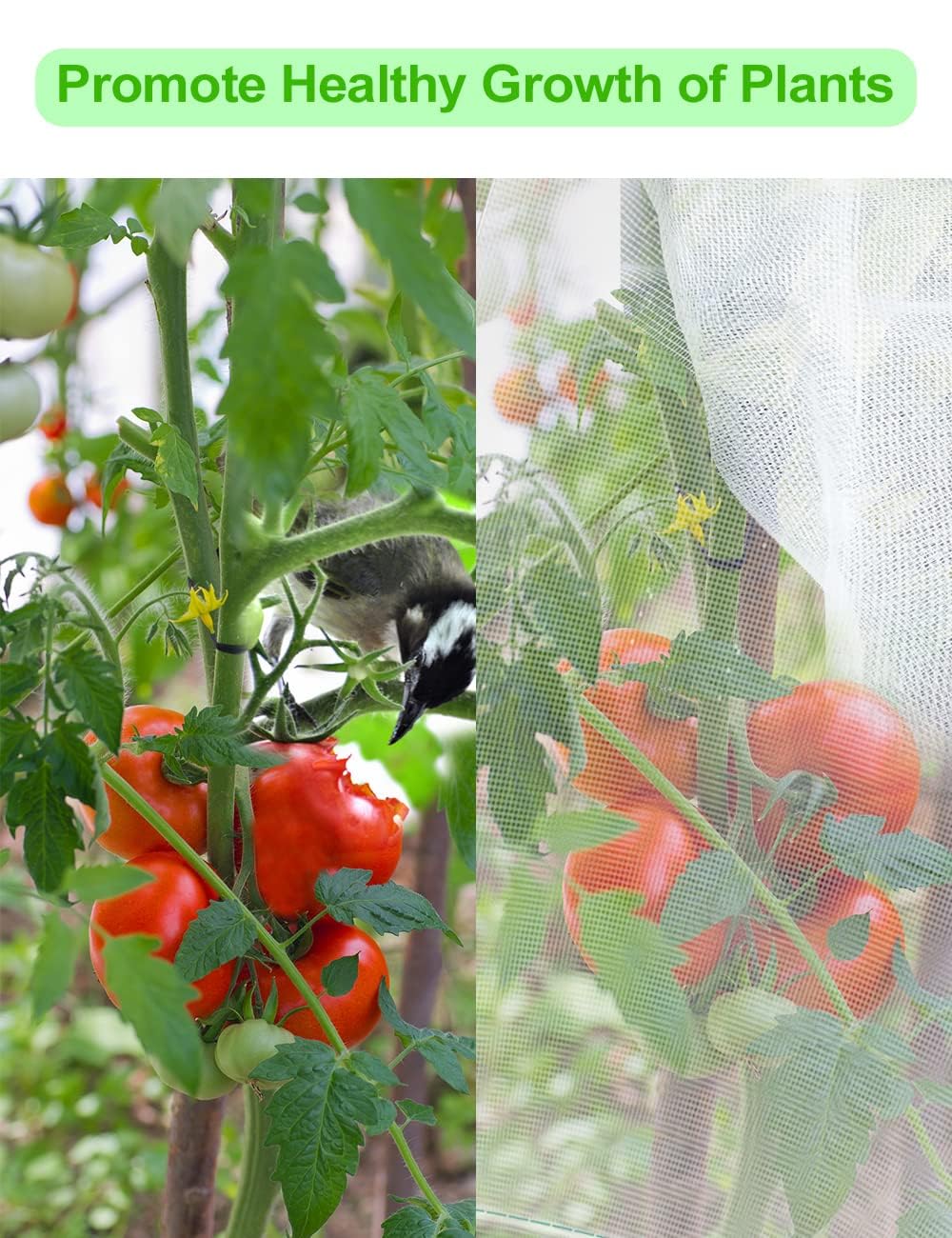 wohohoho 2Pcs 6.6 x 6.6ft Large Fruits Tree Netting, Insect Bird Barrier Tree Net with Drawstring and Zipper, Plant Cover Tree Protection to Prevent Tomato Blueberry Vegetables from Squirrel Bird