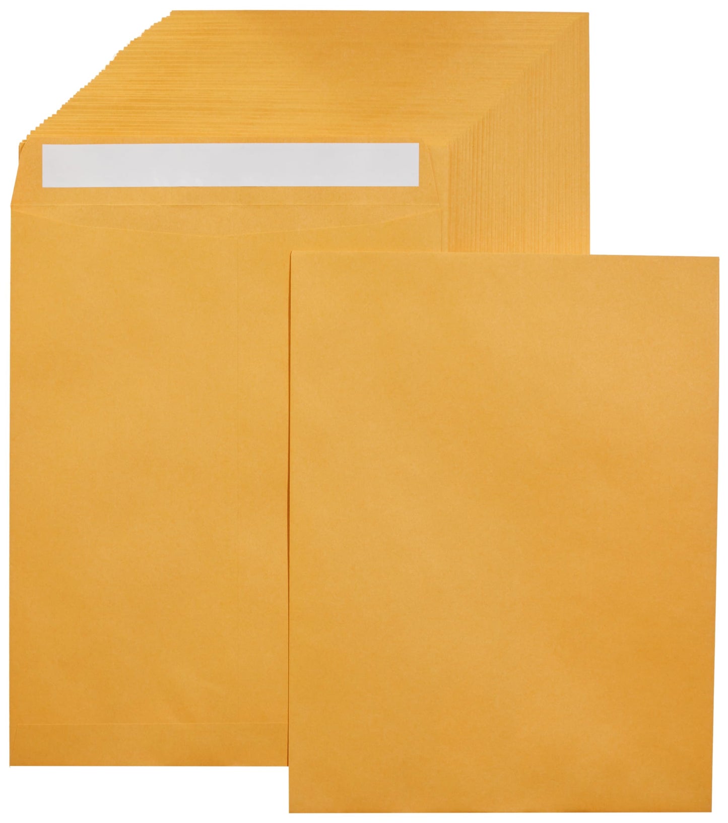 AmazonBasics Catalog Mailing Envelopes, Peel & Seal, 10x13 Inch, Brown Kraft, 250-Pack