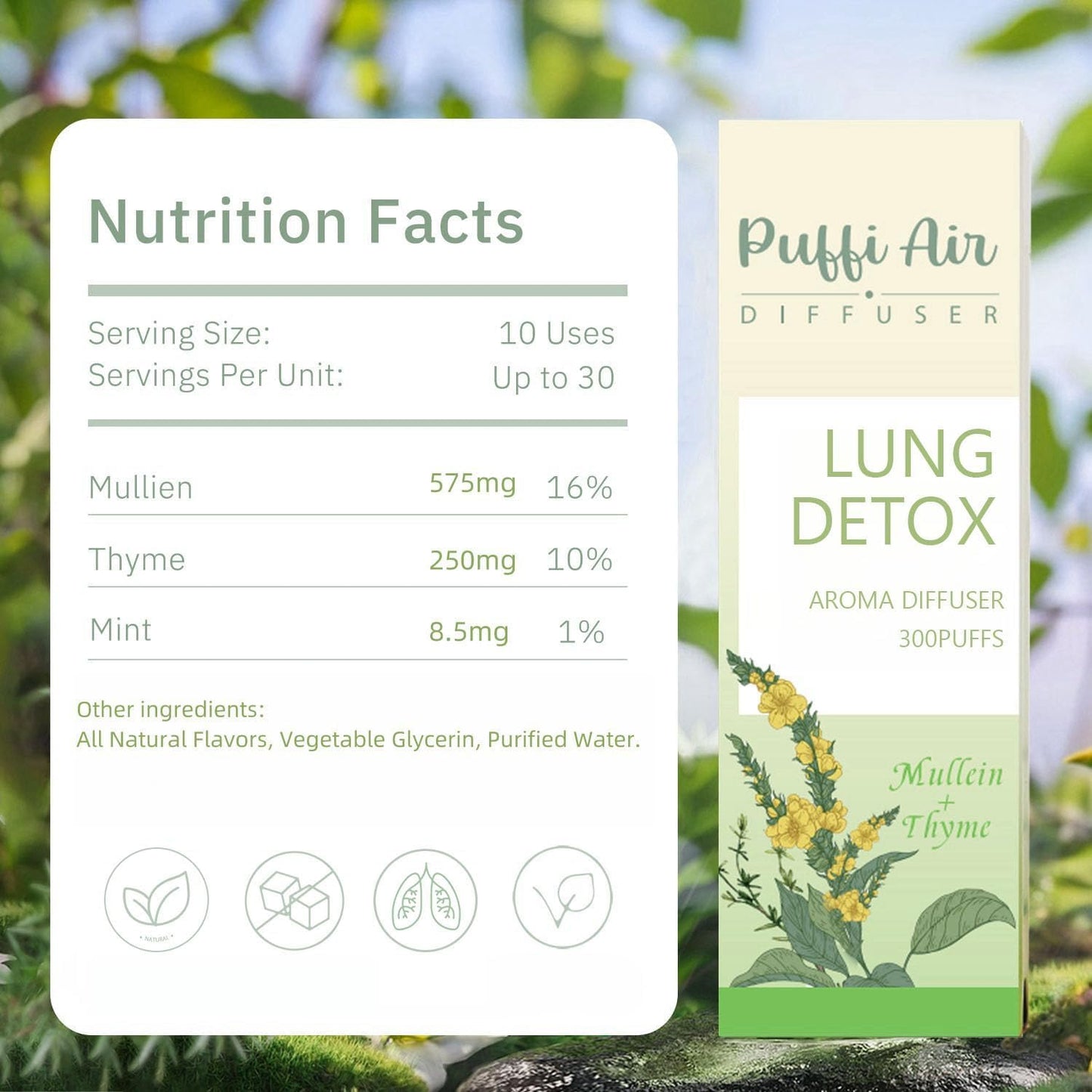 Herbal Diffuser Pen with Extracts of Mullein, Thyme and Mint for Lung Cleansing, Breathing Improvement, Oral Air Freshening and Quitting Bad Habit - 300 Uses (2-Pack)