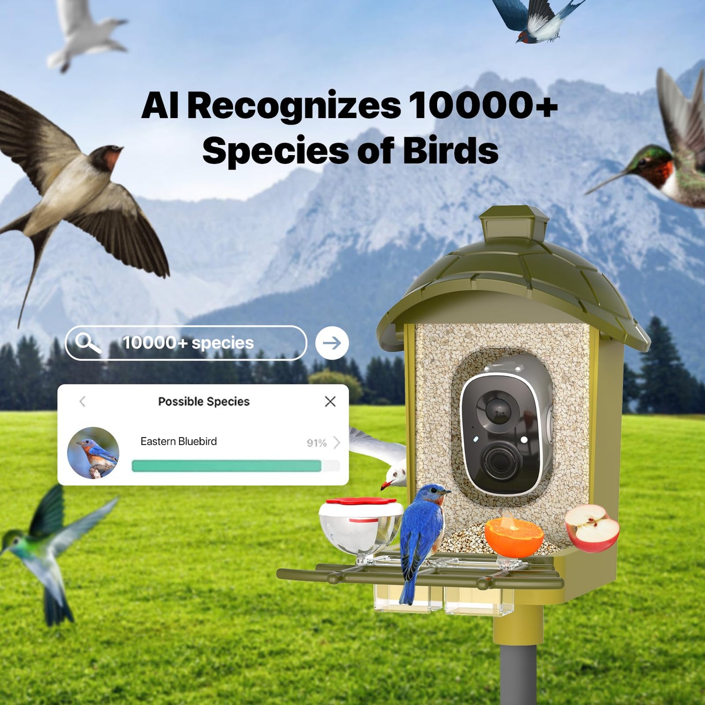 oddkont Smart Bird Feeder with Camera, Bird Feeder with Camera, 2K HD Record Video Live View with Solar Panel, AI Identify Species Auto Capture, Instant Arrival Alerts, Gift for Birds Lover