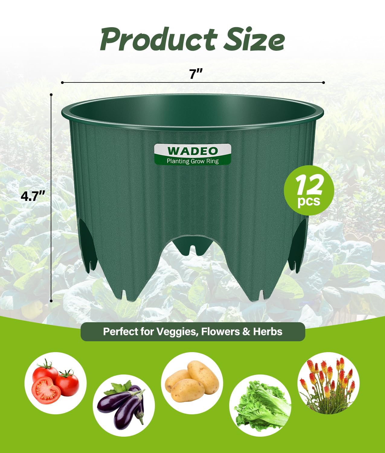 WADEO 17.78cm/7in Planting Grow Rings, 12 PCS Plant Rings for Outdoor Plants, Perfect for Deep Root Watering Veggies Herbs Vegetable and Flowers