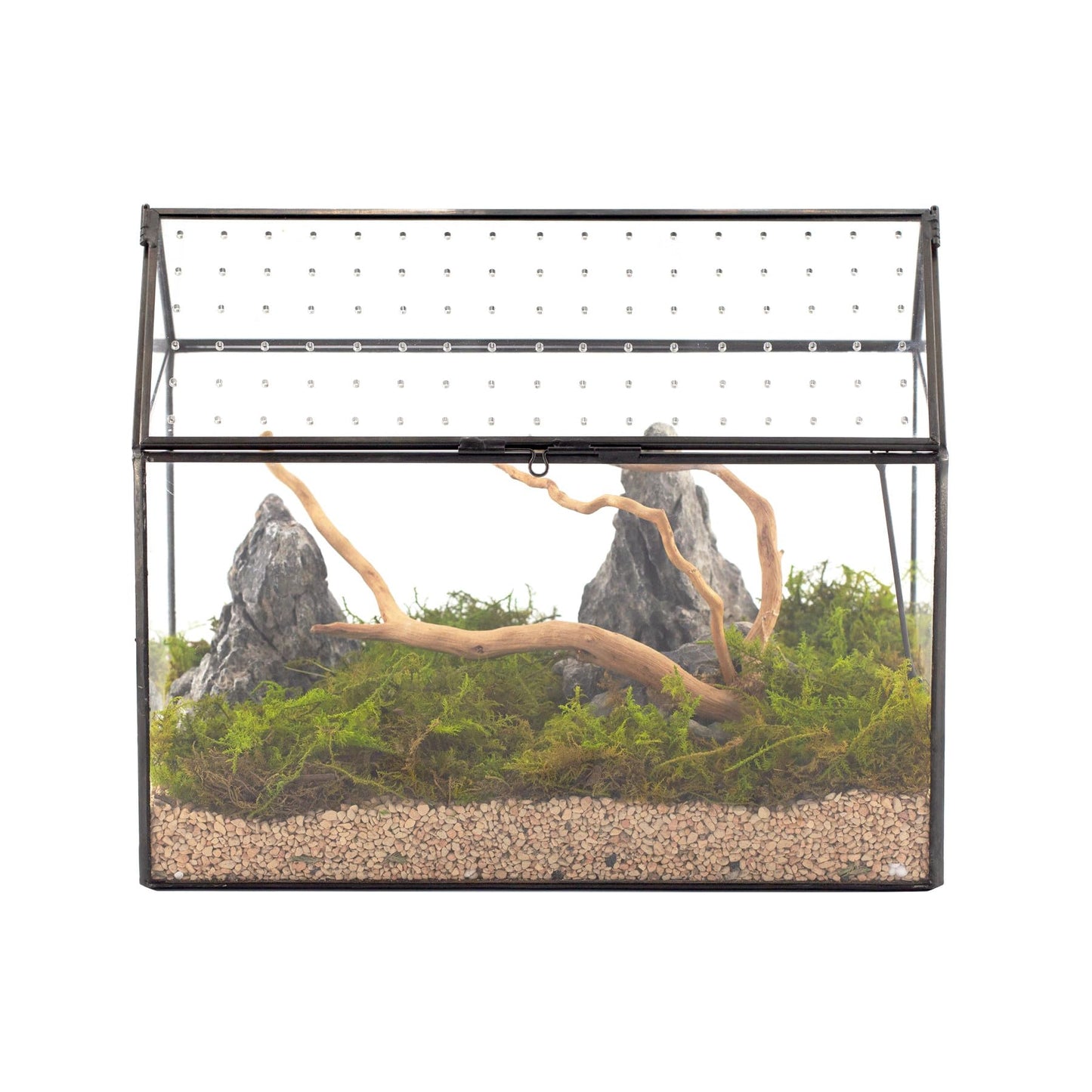NCYP Glass Terrarium with Acrylic Lid, 26x15x21 cm, Large Geometric House Shape Clear Box for Snails, Ferns, Succulents, Air Plants, Indoor Tabletop Decor, Black (Terrarium Only)