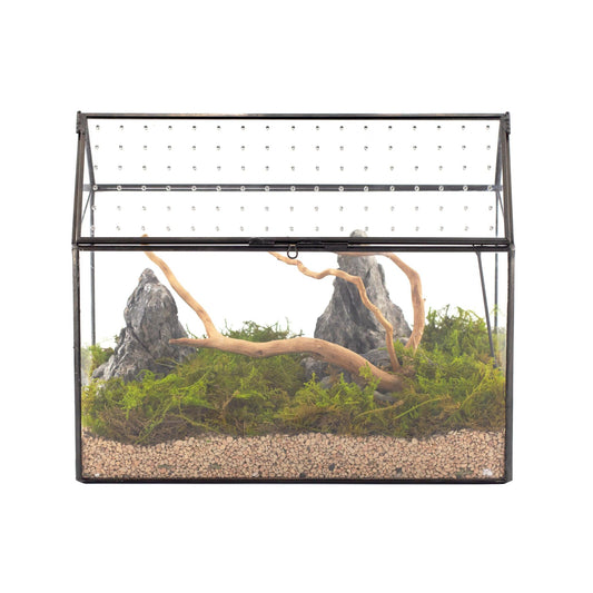 NCYP Glass Terrarium with Acrylic Lid, 26x15x21 cm, Large Geometric House Shape Clear Box for Snails, Ferns, Succulents, Air Plants, Indoor Tabletop Decor, Black (Terrarium Only)