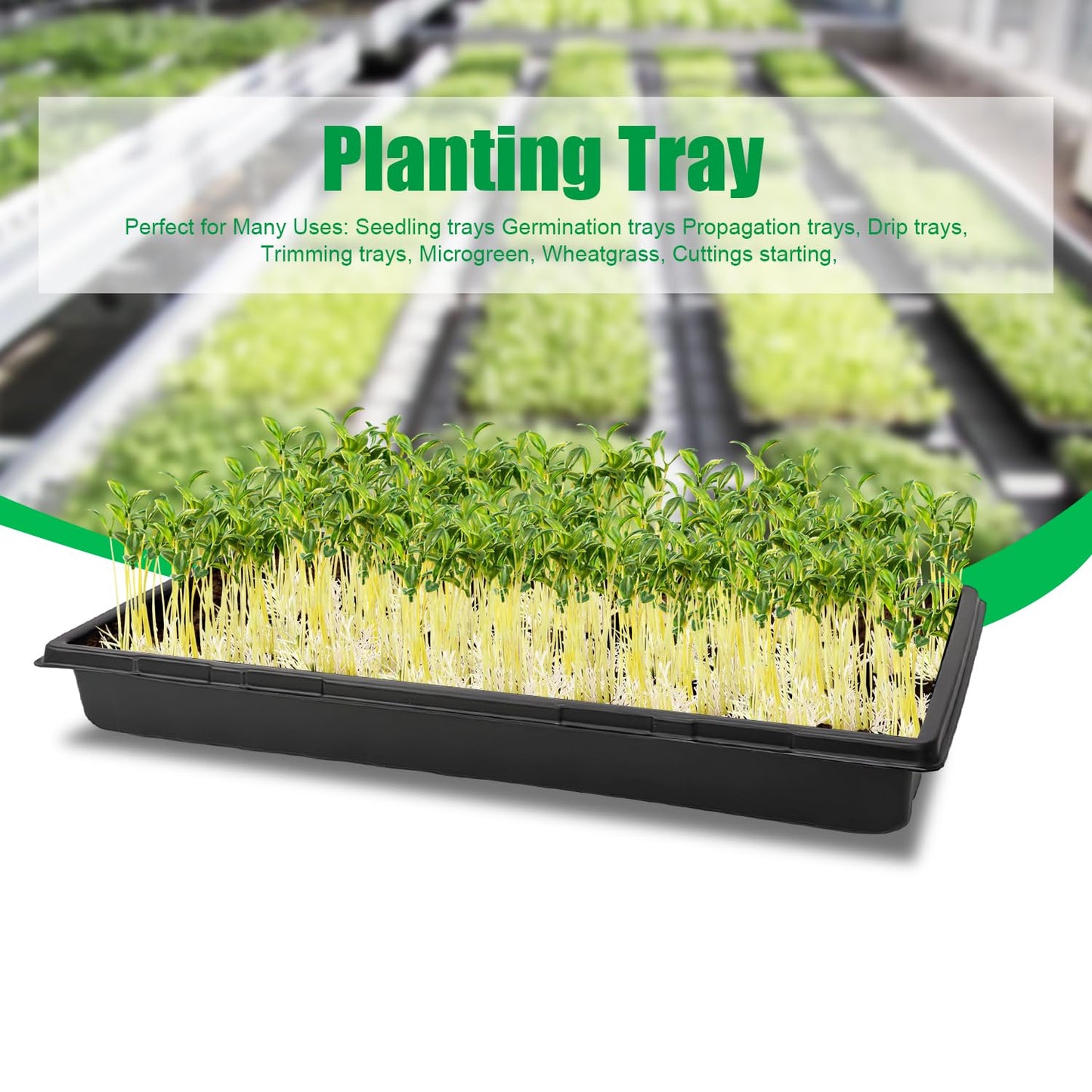 RooTrimmer 1020 Trays Sturdy Farmer Self Seedling Nursery Tray Plastic Seeds Starter Trays 10 Pieces Standard Size 2.35inch Deep Without Holes (10-Pack Without Holes)