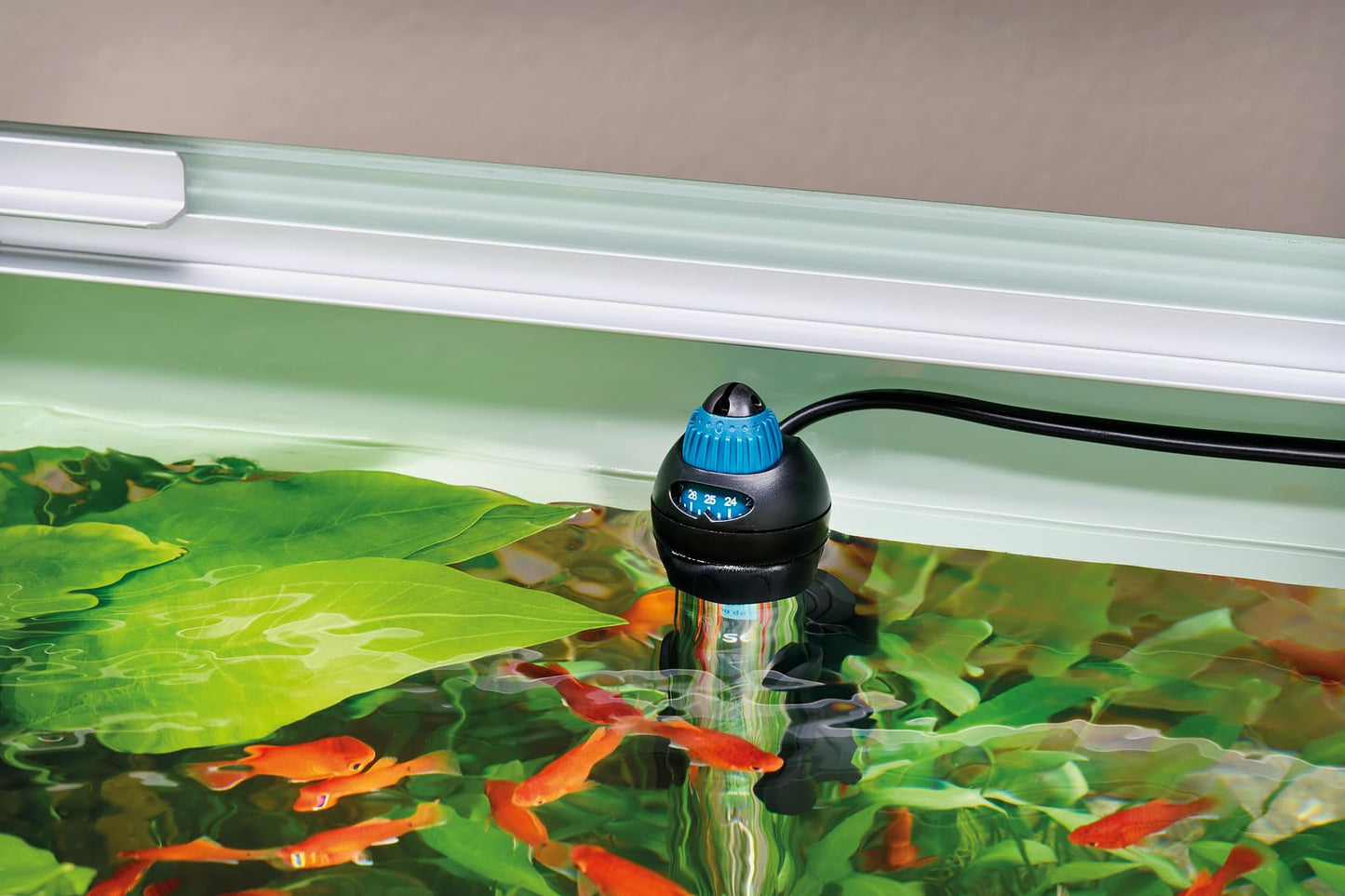 OASE Indoor Aquatics HeatUp 300 Watt Aquarium Heater, Clear