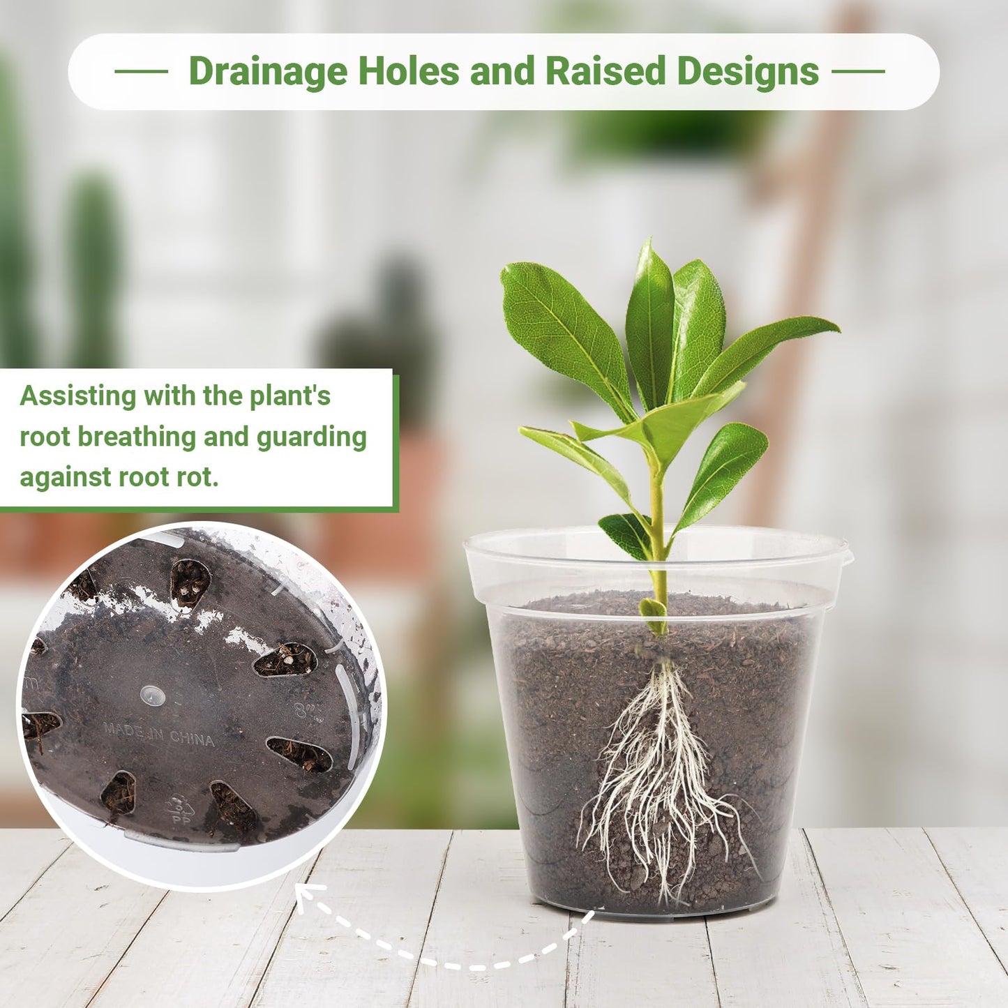 GREANER Clear Plant Pots, Plastic Planters for Indoor Plants, Seed Starting Pot with Drainage Holes, 4/5/6/7/8 Inch(10 Packs)
