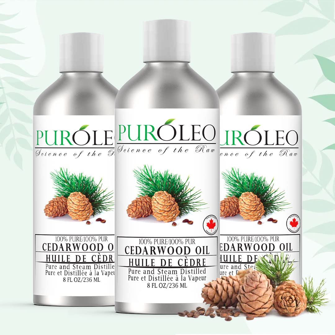 PUROLEO Cedarwood Essential Oil 8 Fl Oz/236 ML (Packed In Canada) 100% Pure & Natural Cedarwood Oil for Aromatherapy, Relaxation, and Skin Care - Therapeutic Grade Cedarwood Oil for Diffuser