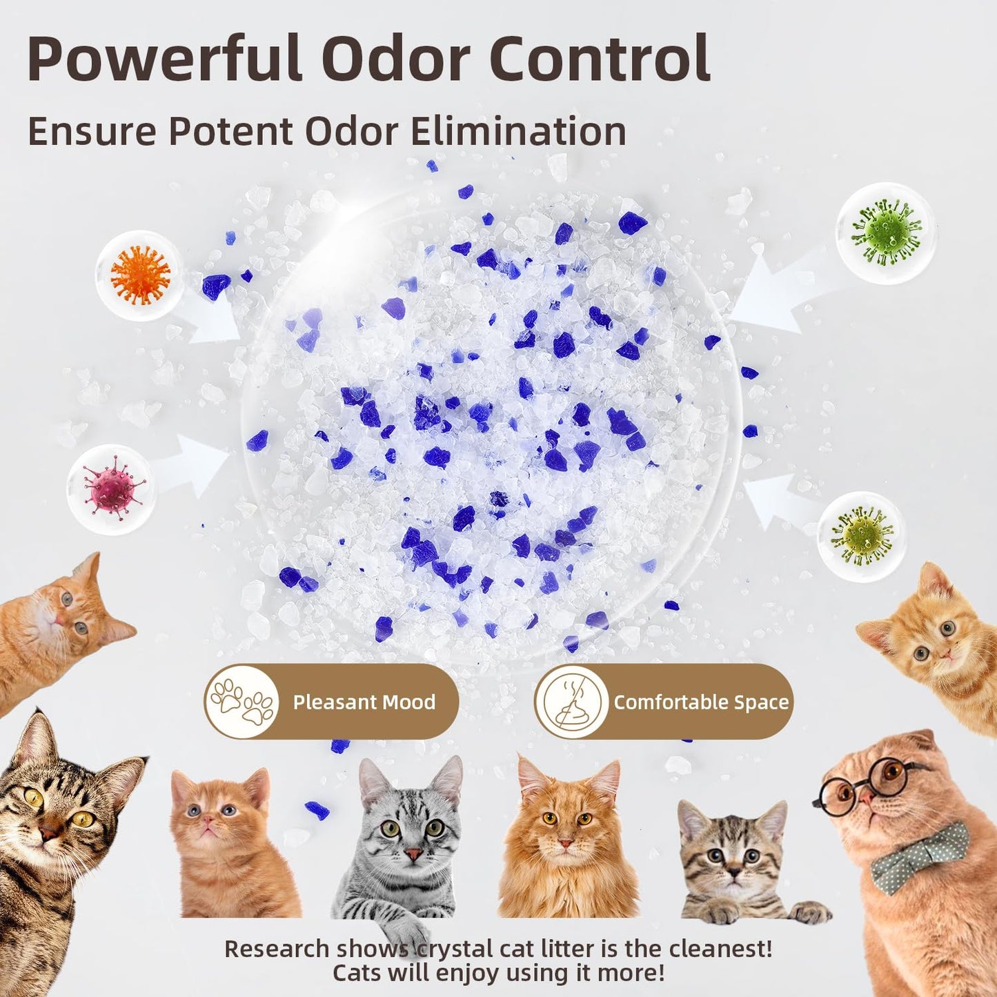 LaSyL Premium Crystal Cat Litter - 8.6 lb, Two Months Lasting - Superior Odor Control & Absorption, Non-Clumping, Low Tracking Silica Gel Safe for Pet, White & Blue (2 Bags of 4.3 lb)
