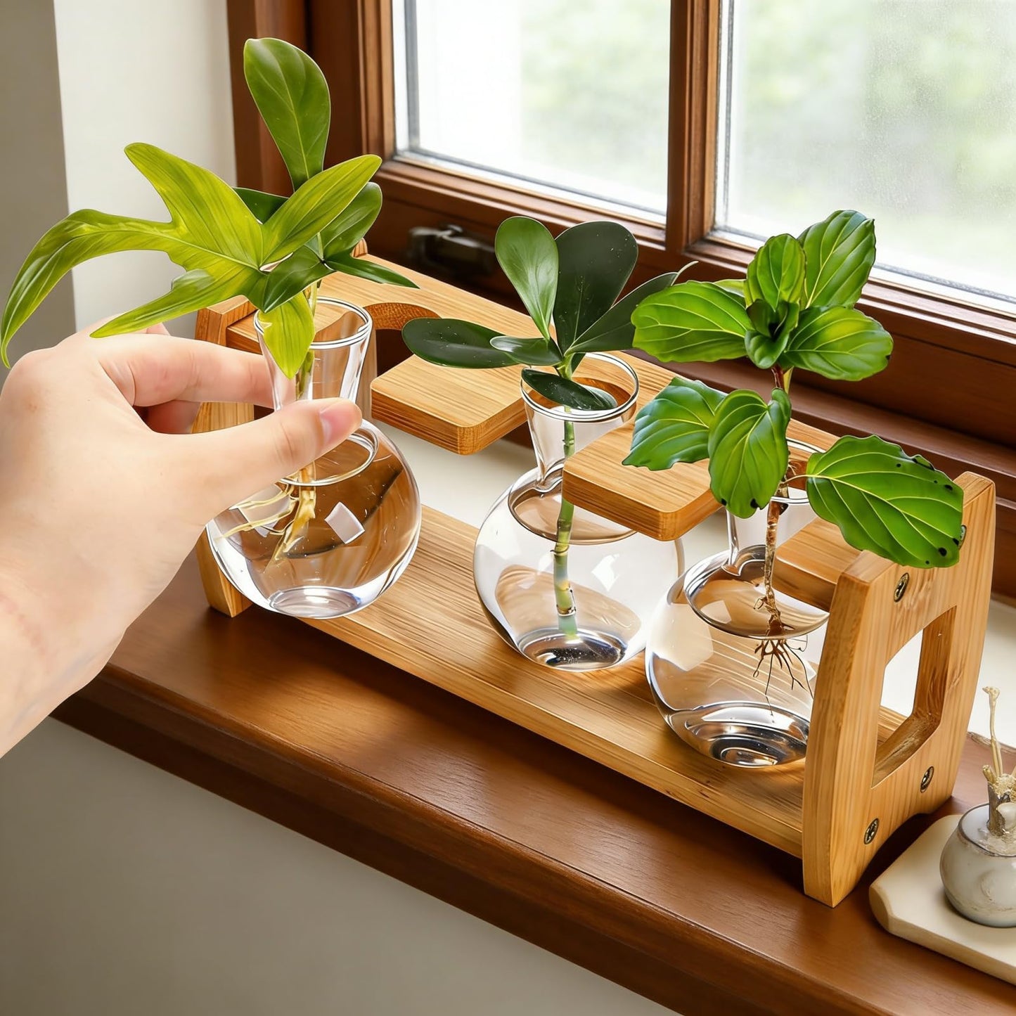 Pumtus 2 Pack Plant Propagation Stations, Desktop Plant Terrarium with Wooden Stand, Water Propagation Station, Hydroponic Plants Vase with 8 Glass Bulbs, Small Propagated Plant Jar for Home Office