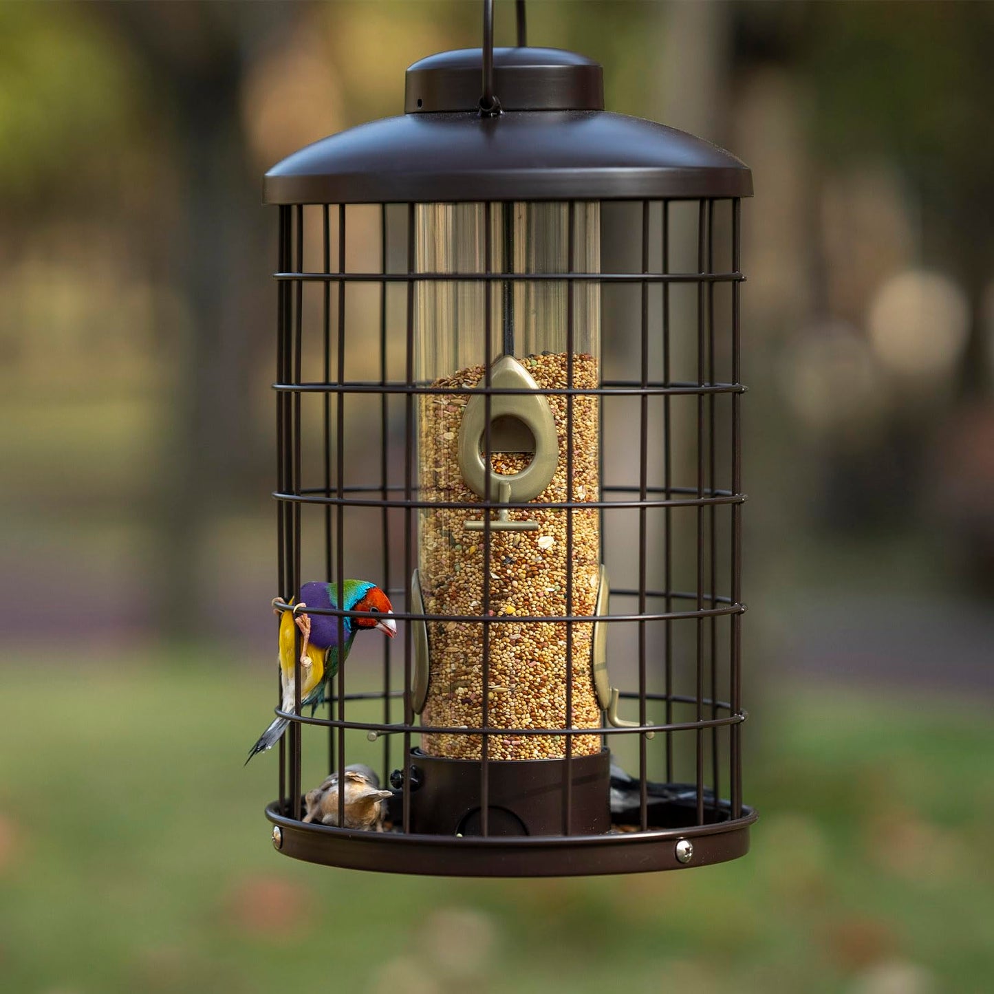 Caged Bird Feeders Metal - 3 Lbs - Squirrel-Proof Wild Bird Tube Feeder Hanging Outside, Detachable Cleaning, 4 Feed Ports(Copper)