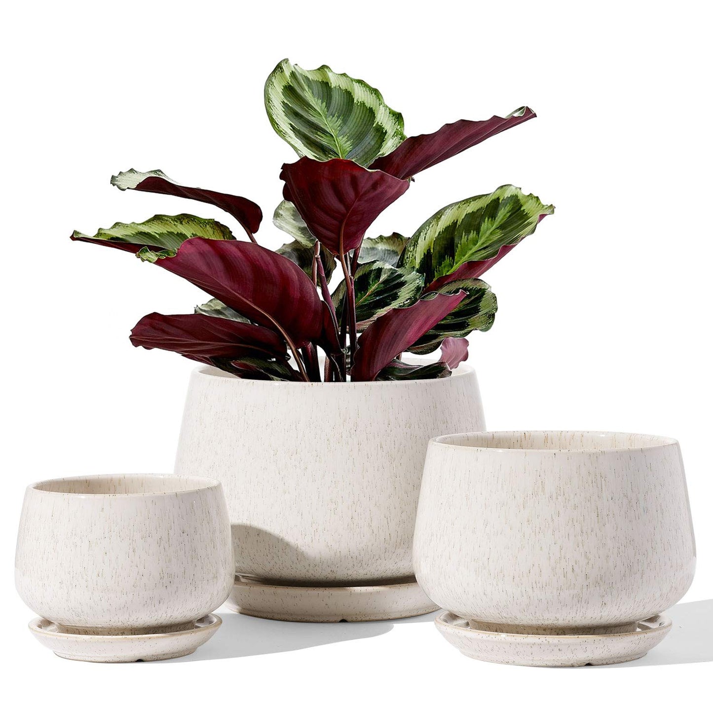 LE TAUCI Plant Pots for Indoor Plants, Set of 3, 4+5+6.5 Inch Ceramic Plant Pots with Drainage Hole & Saucer, Indoor Flower Pot with Mesh Pad, Pot Plante Interieur, Reactive Glaze Beige