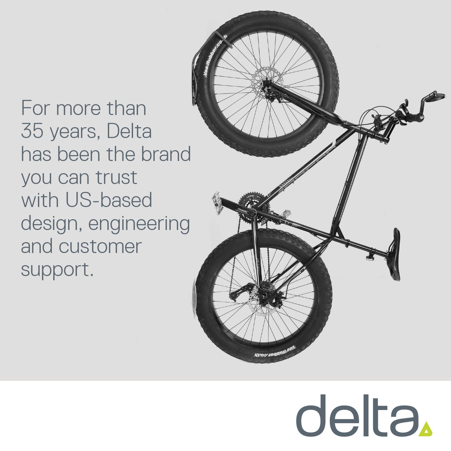 Delta Cycle Fat Tire Leonardo Wall Rack & Tray, Silver