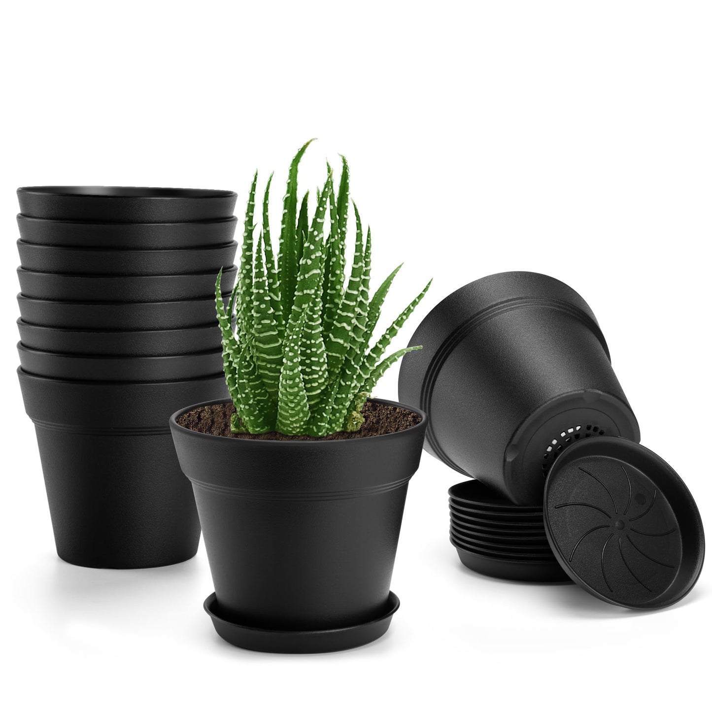 6 inch Plastic Plant Pots with Drainage Holes and Tray, 10 Pack Thickened Indoor Planters Seedlings Nursery Pots for Flowers, African Violet, Succulent and All House Plants, Black