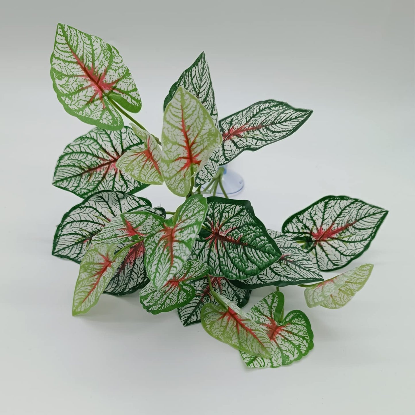 Bearded Dragon Accessories,Leopard Crested Gecko Tank Accessories,Repitle Terrarium Plants Vines Climbing Branch Background Decor,Lizard,Snake Hide,Ball Python,Chameleon,Triceratops(Group E)