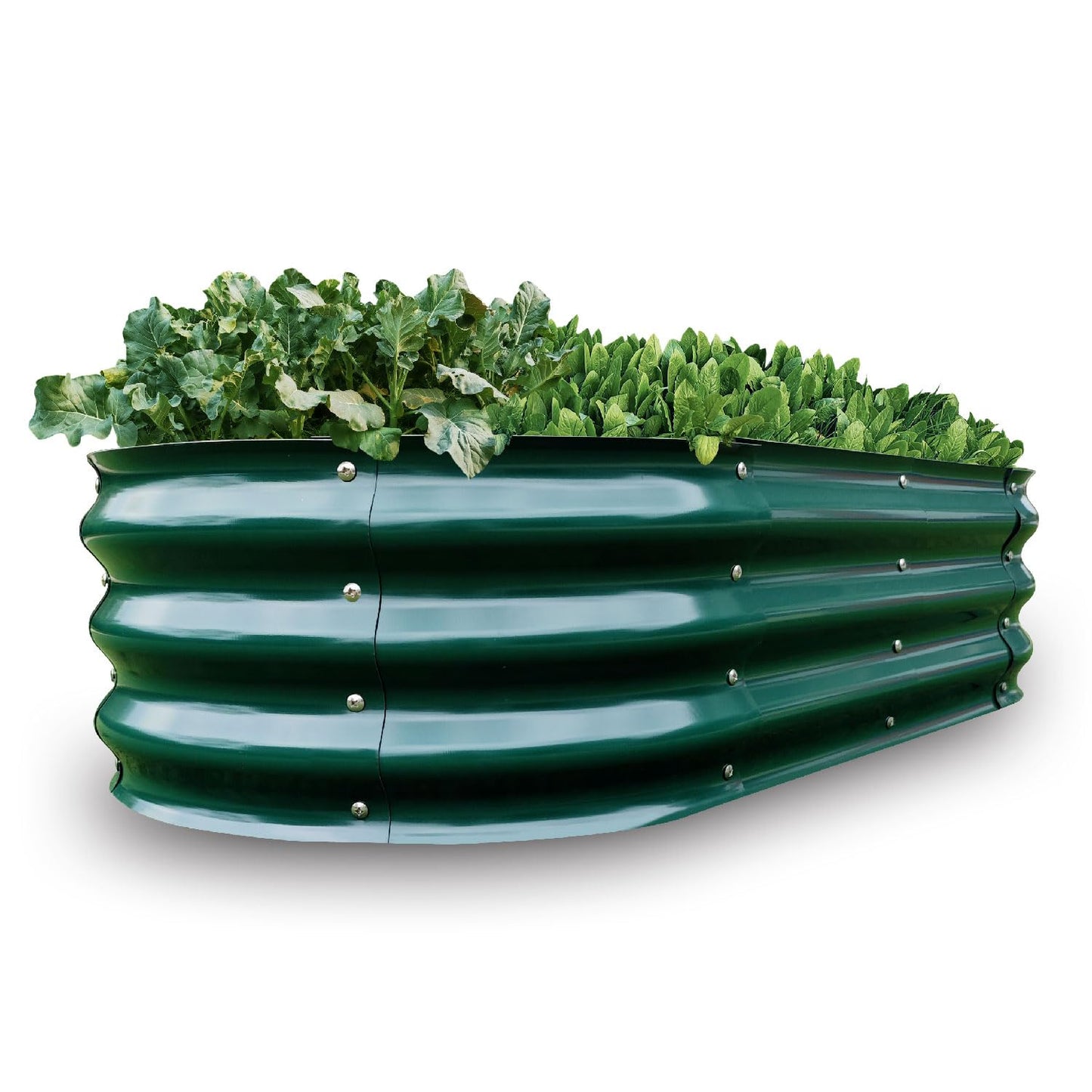 Gardmax Galvanized Raised Garden Bed, Lightweight Planter Boxes Outdoor with Easy Assembly, Large Garden Bed for Vegetables, Fruits, Flower Dark Green 8FT