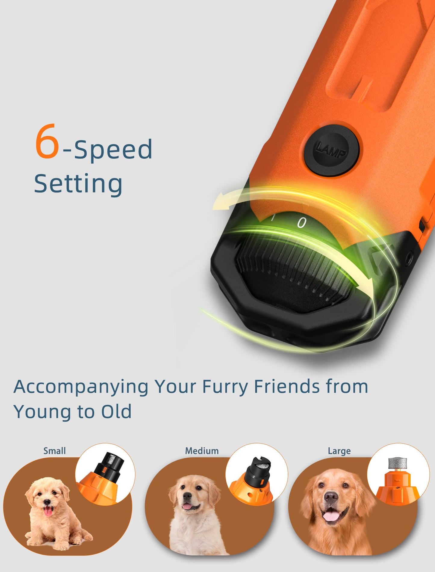 Pet Nail Grinder, Super Quiet 45 dB, 6-Speed 12000 RPM, 2 LED Lights, 3 Grinding Ports, Dust Cap, 2 Extra Grinding Heads