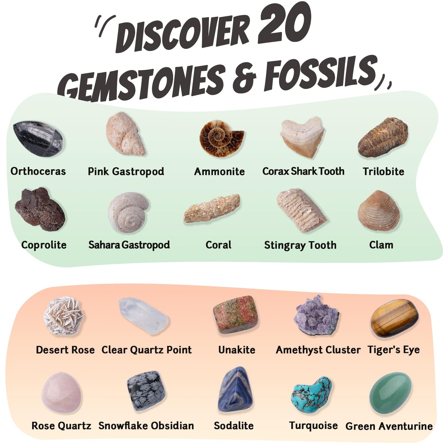 Xenvera Gemstone and Fossil Dig Kit – Excavate 10 Gems and 10 Fossils, STEM Geology Set, Educational Toy, Science Kit for Kids Ages 8+
