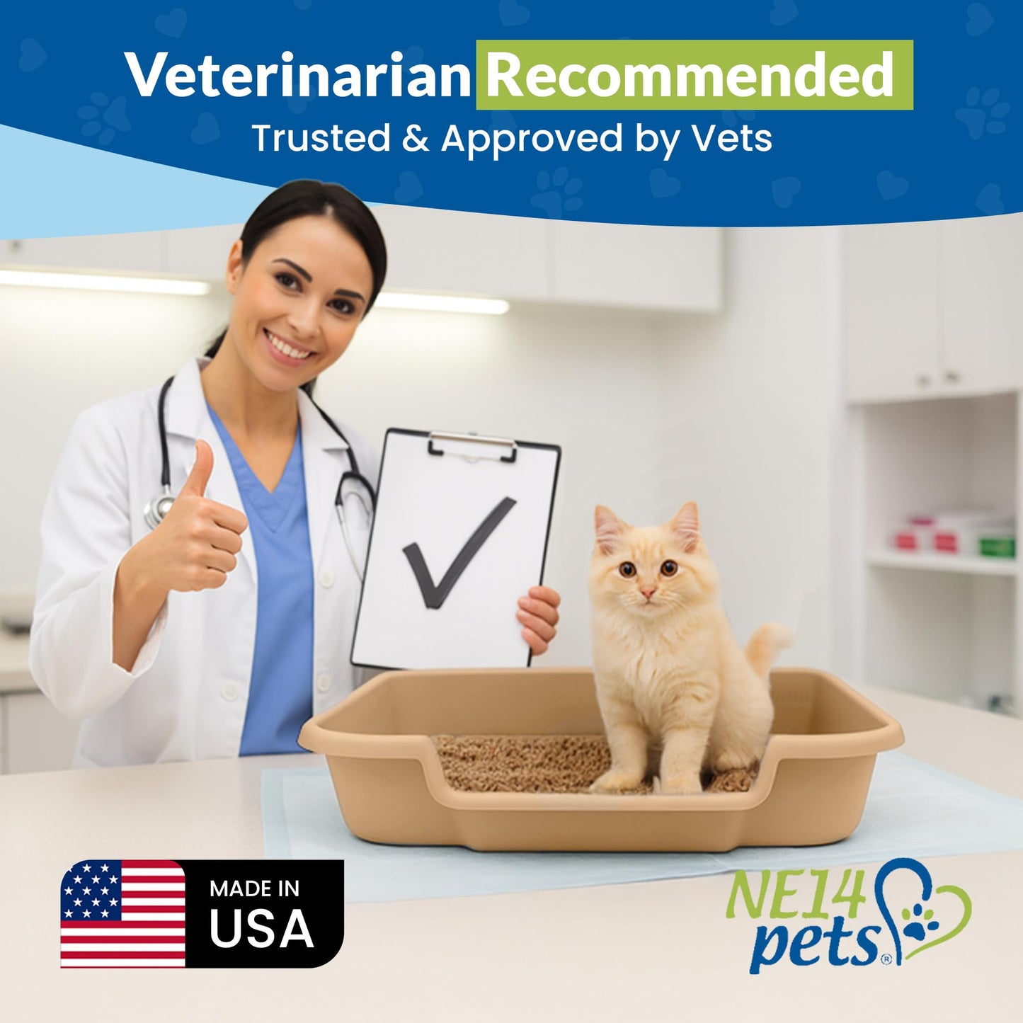 Kitty Go Here Senior Cat Litter Box for the Kitties that can't cope with a traditional litter box.