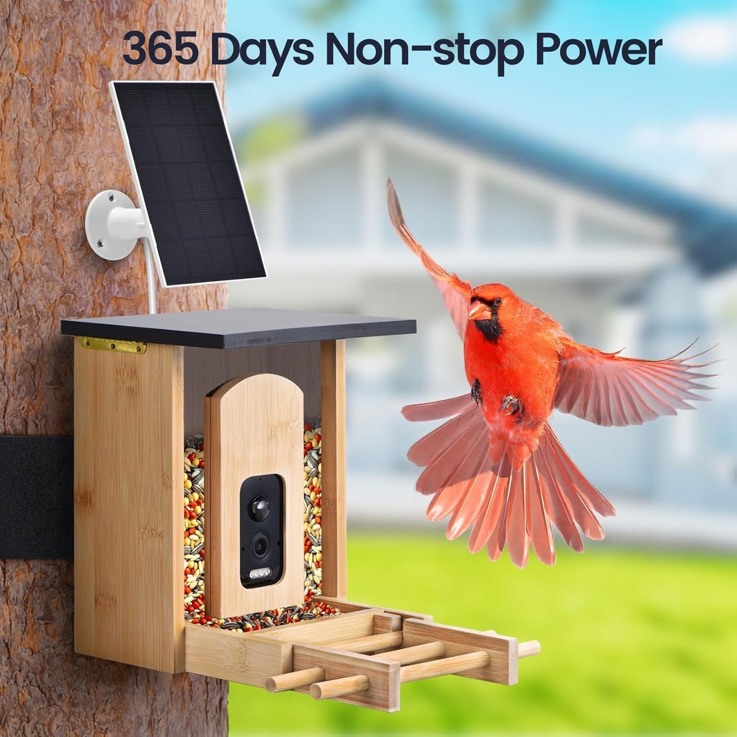 Camera Bird Feeder,Smart Bird Feeder with Camera,High-End Bamboo Birds Watching Cam,2K HD Came Solar Powered,AI Identify 16000+,Auto Capture Birds & Notify in Time, Ideal Gift for Backyard Birder