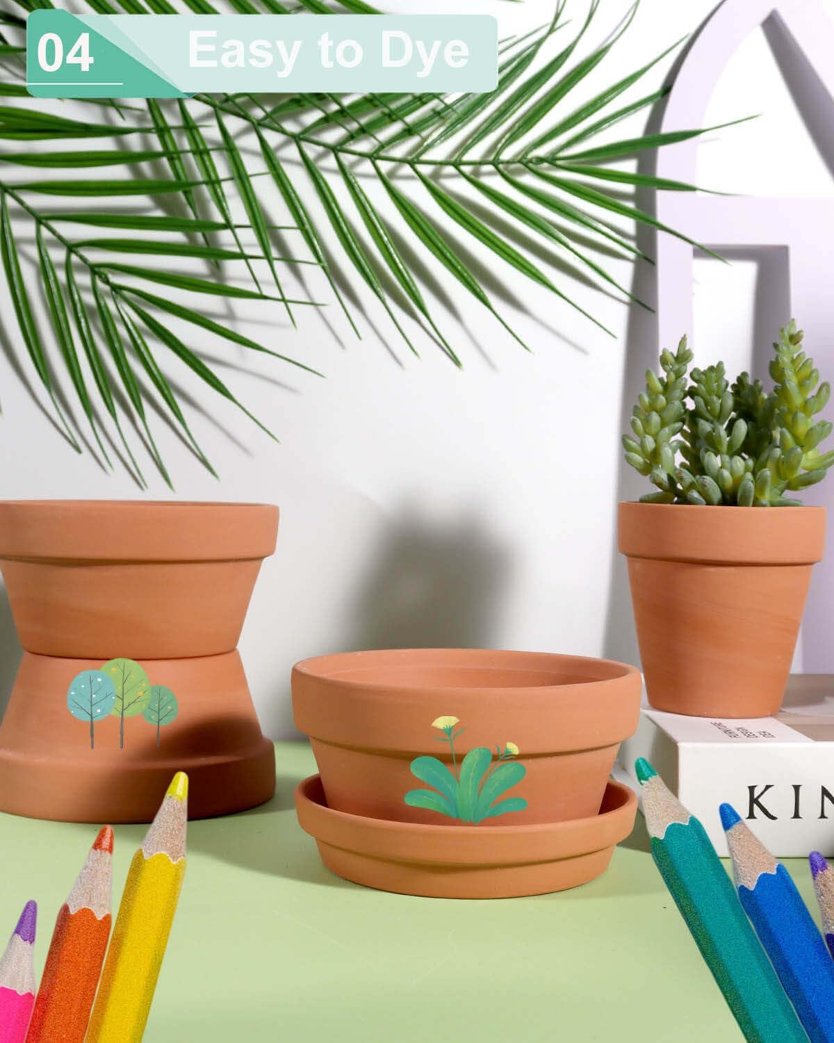 5.7 Inch Terracotta Shallow Succulent Pot - 6 Pack Terra Cotta Clay Pots with Saucer, Cacuts Terra-Cotta Indoor and Outdoor Planters with Drainage Hole