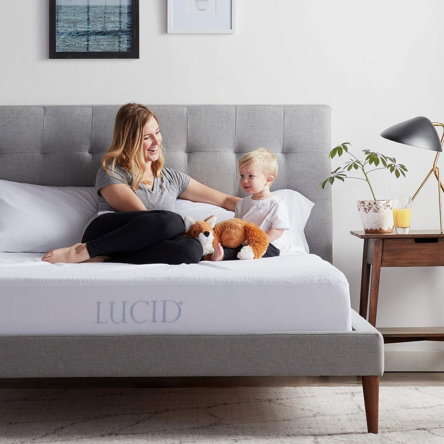 LUCID Premium Hypoallergenic 100% Waterproof Mattress Protector, Cotton Terry Top, Vinyl Free, Queen White